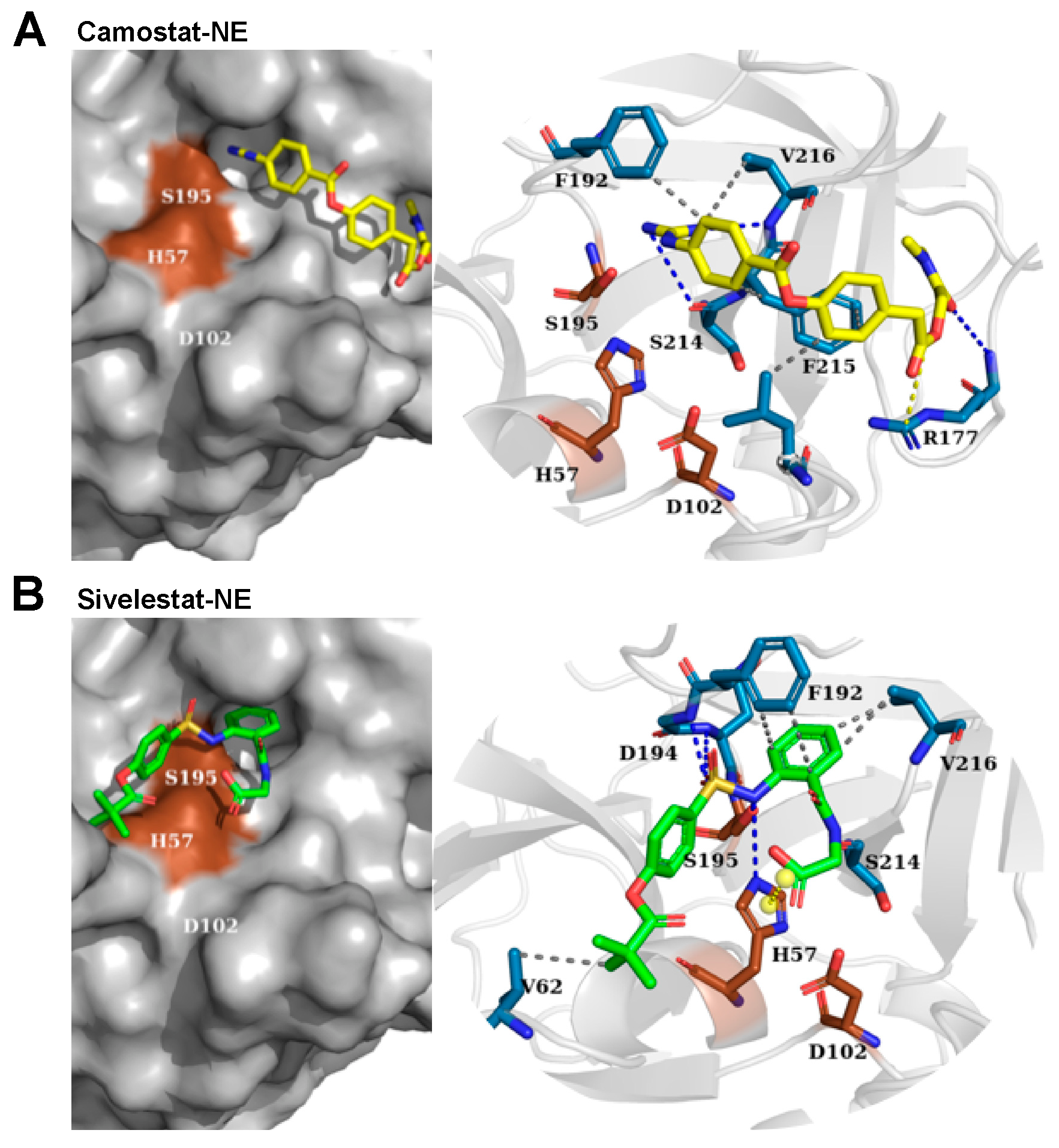 Pharmaceuticals 15 00500 g004