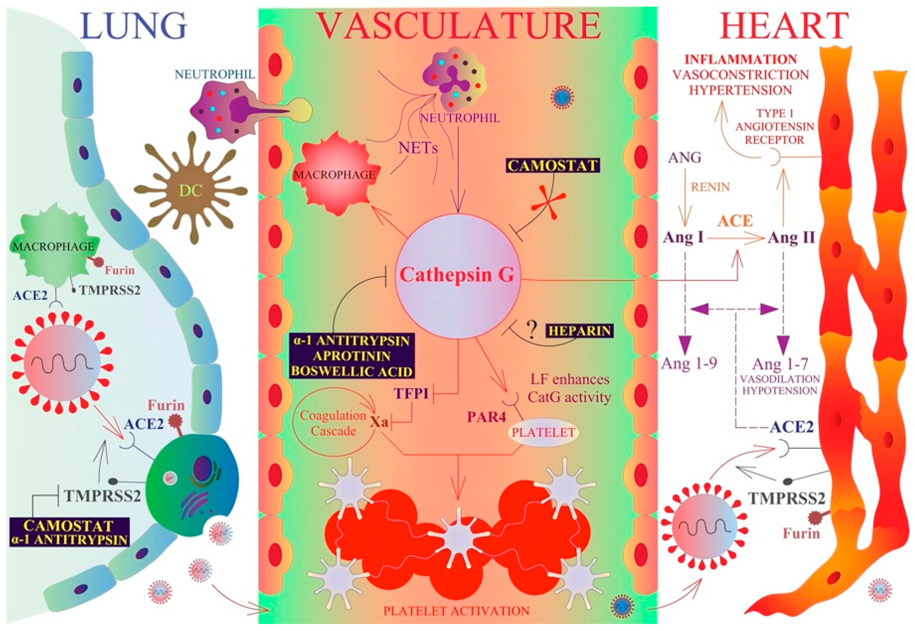 Pharmaceuticals 15 00500 g006