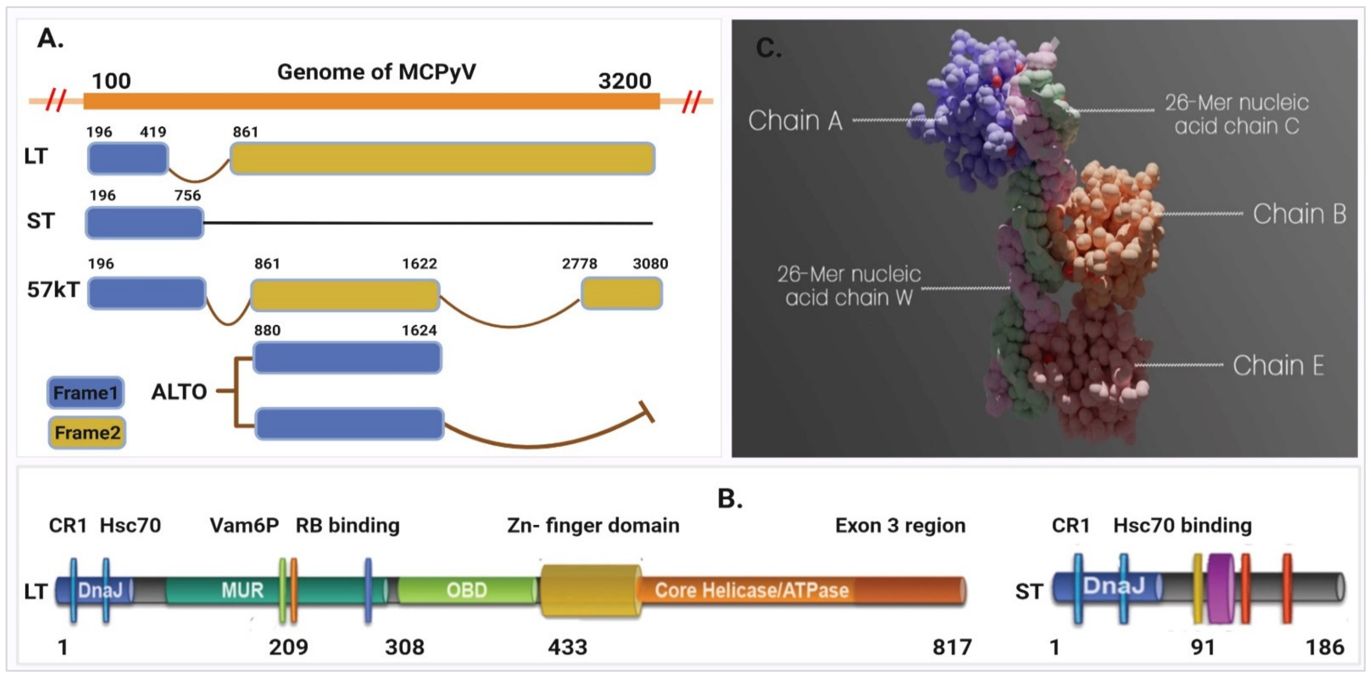Pharmaceuticals 15 00501 g001
