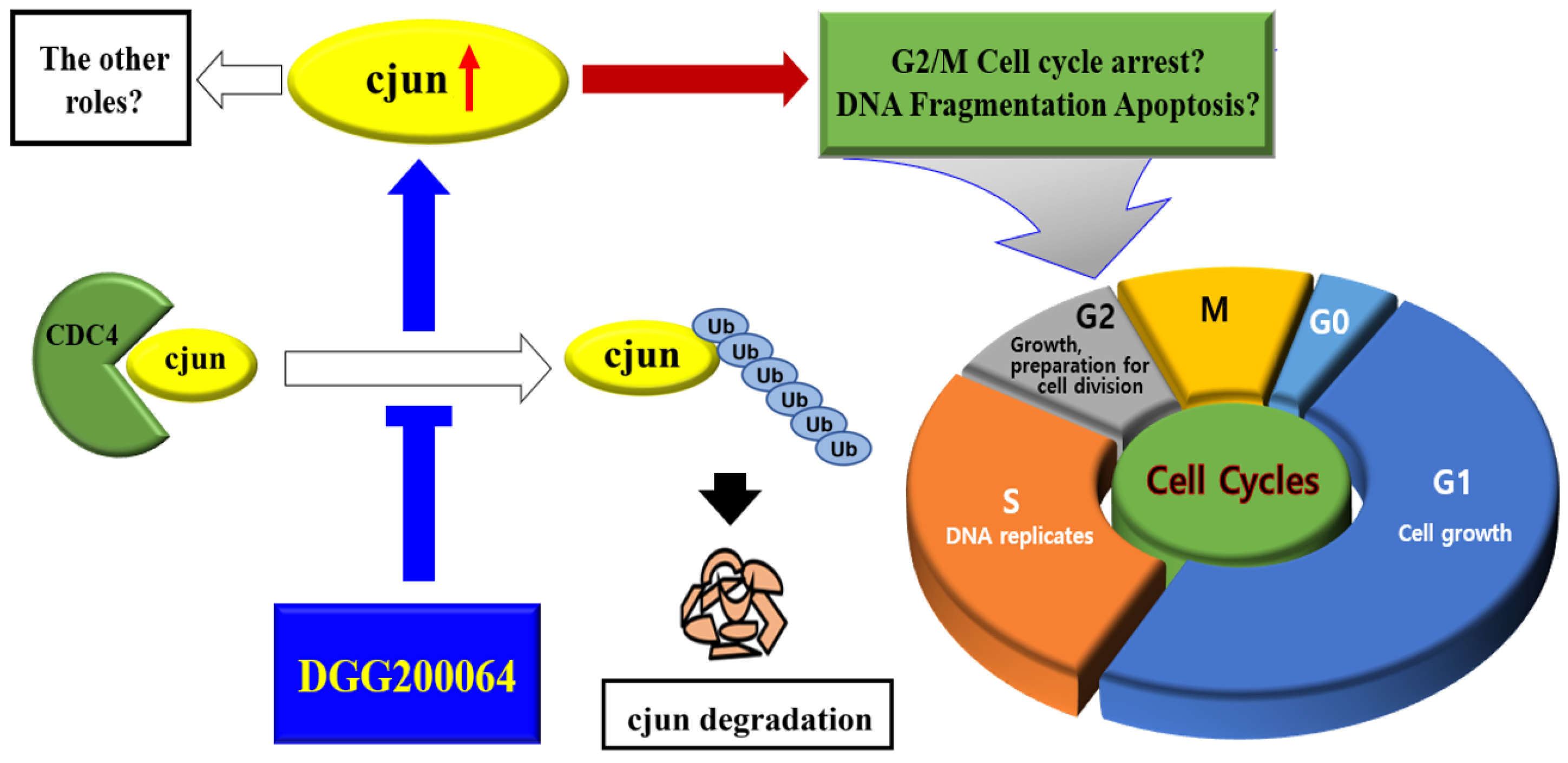Pharmaceuticals 15 00502 g001