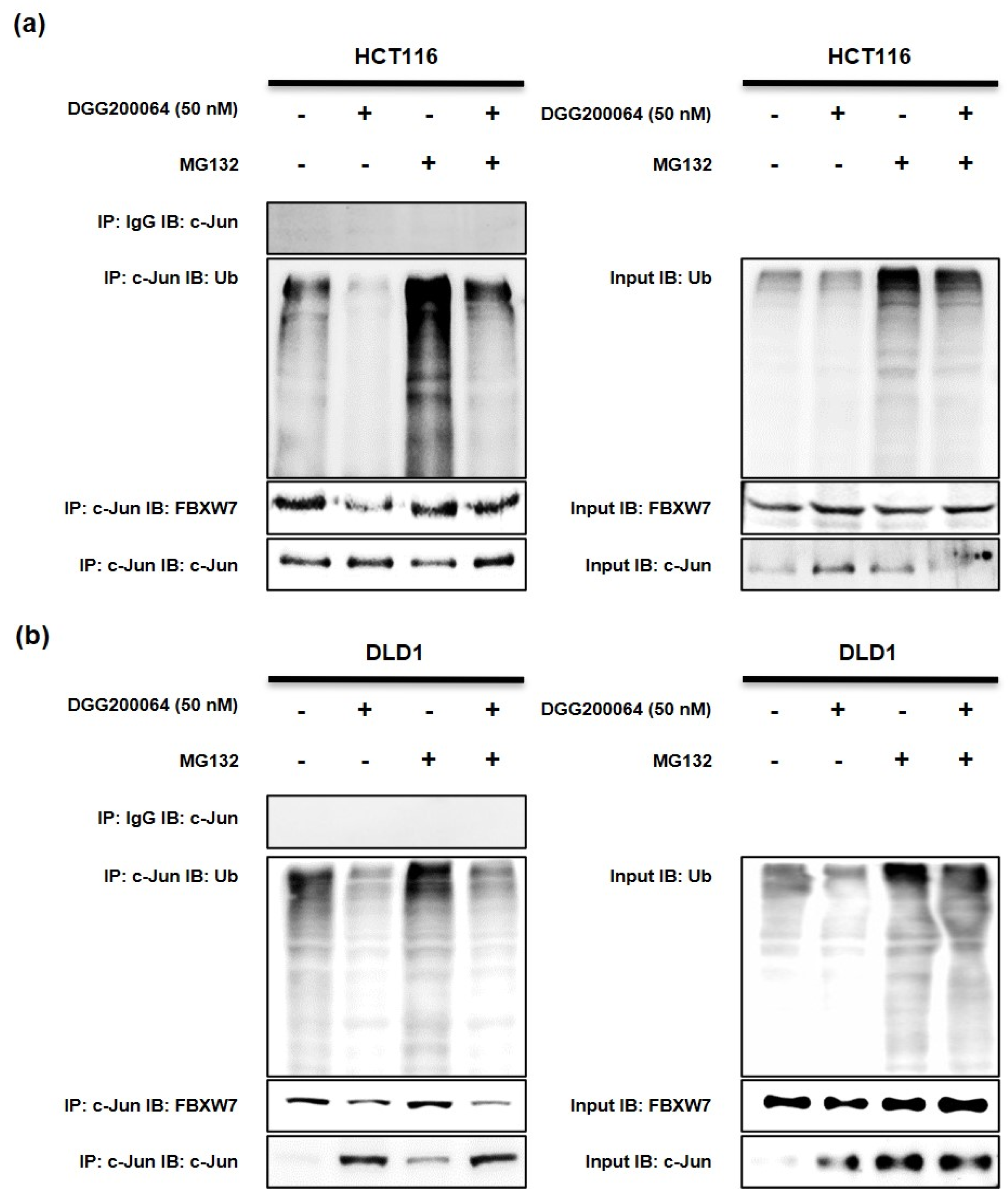 Pharmaceuticals 15 00502 g004