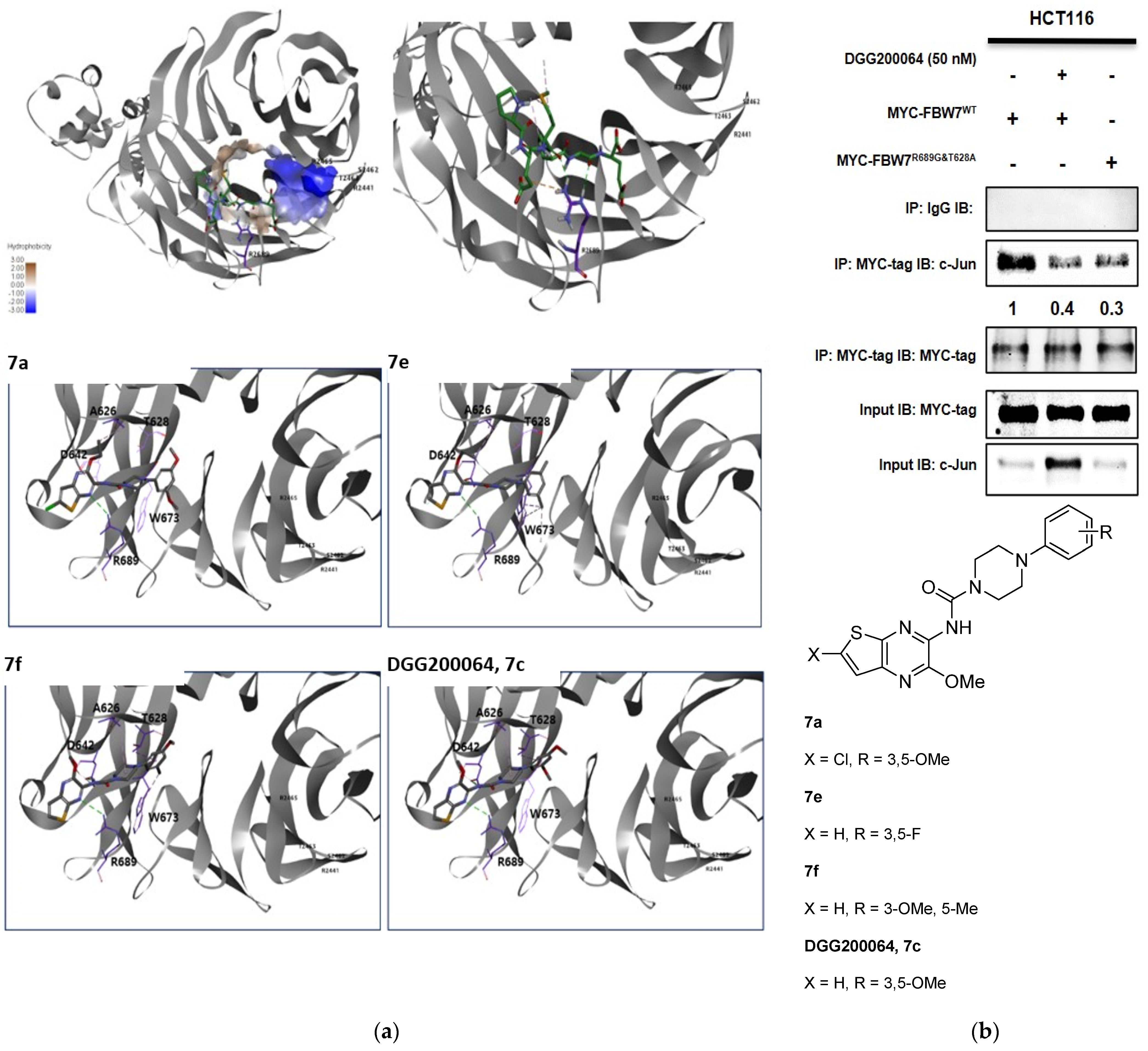 Pharmaceuticals 15 00502 g005