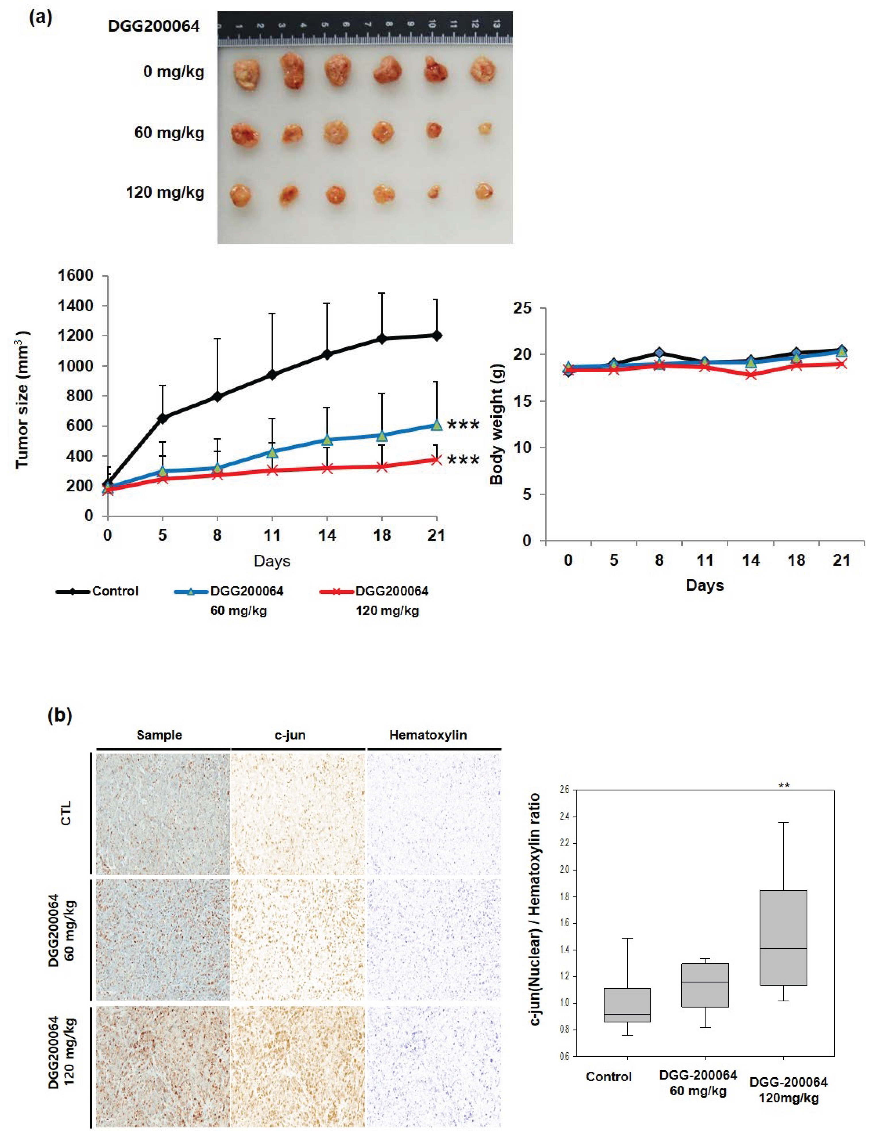 Pharmaceuticals 15 00502 g006