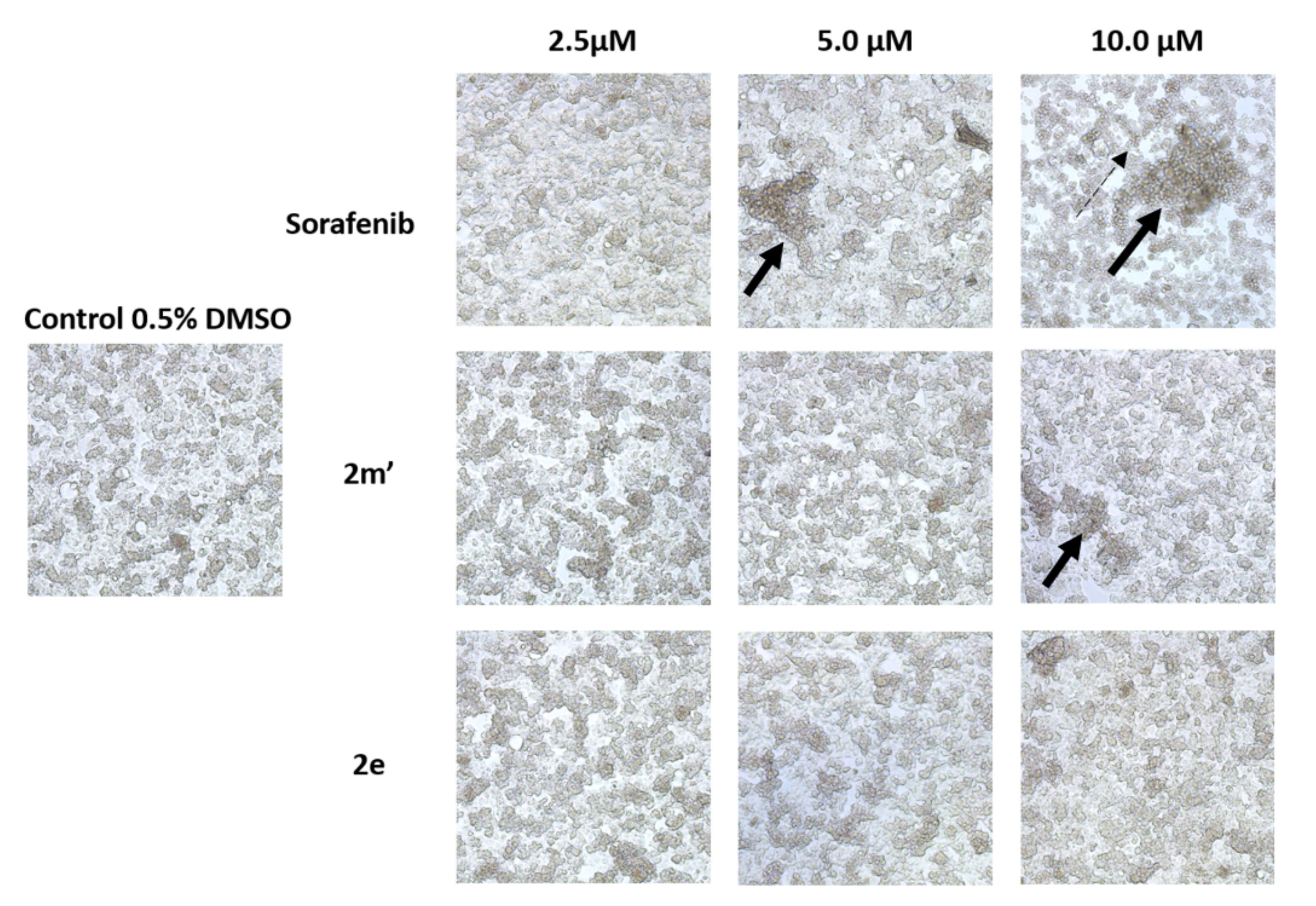 Pharmaceuticals 15 00504 g007