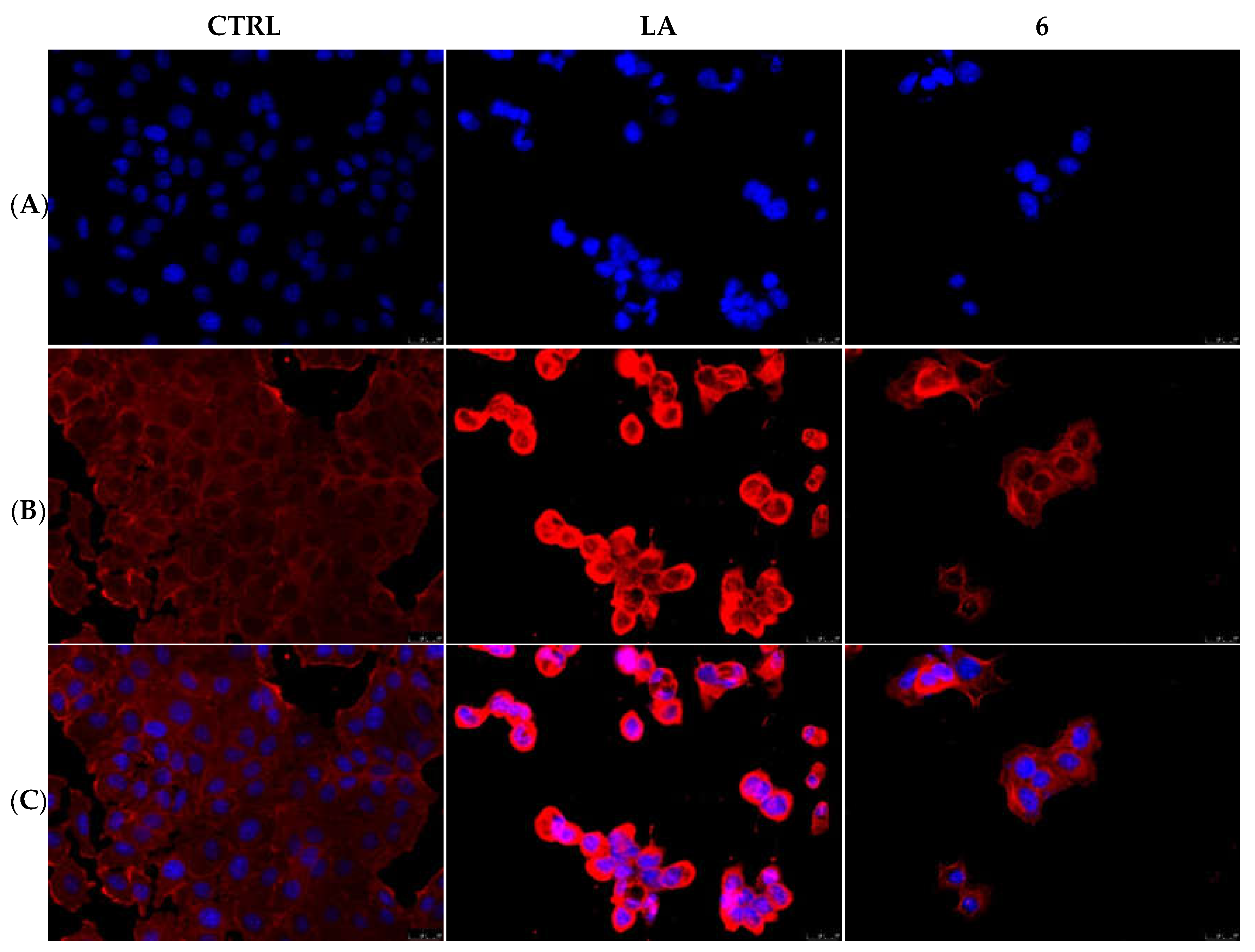 Pharmaceuticals 15 00507 g004