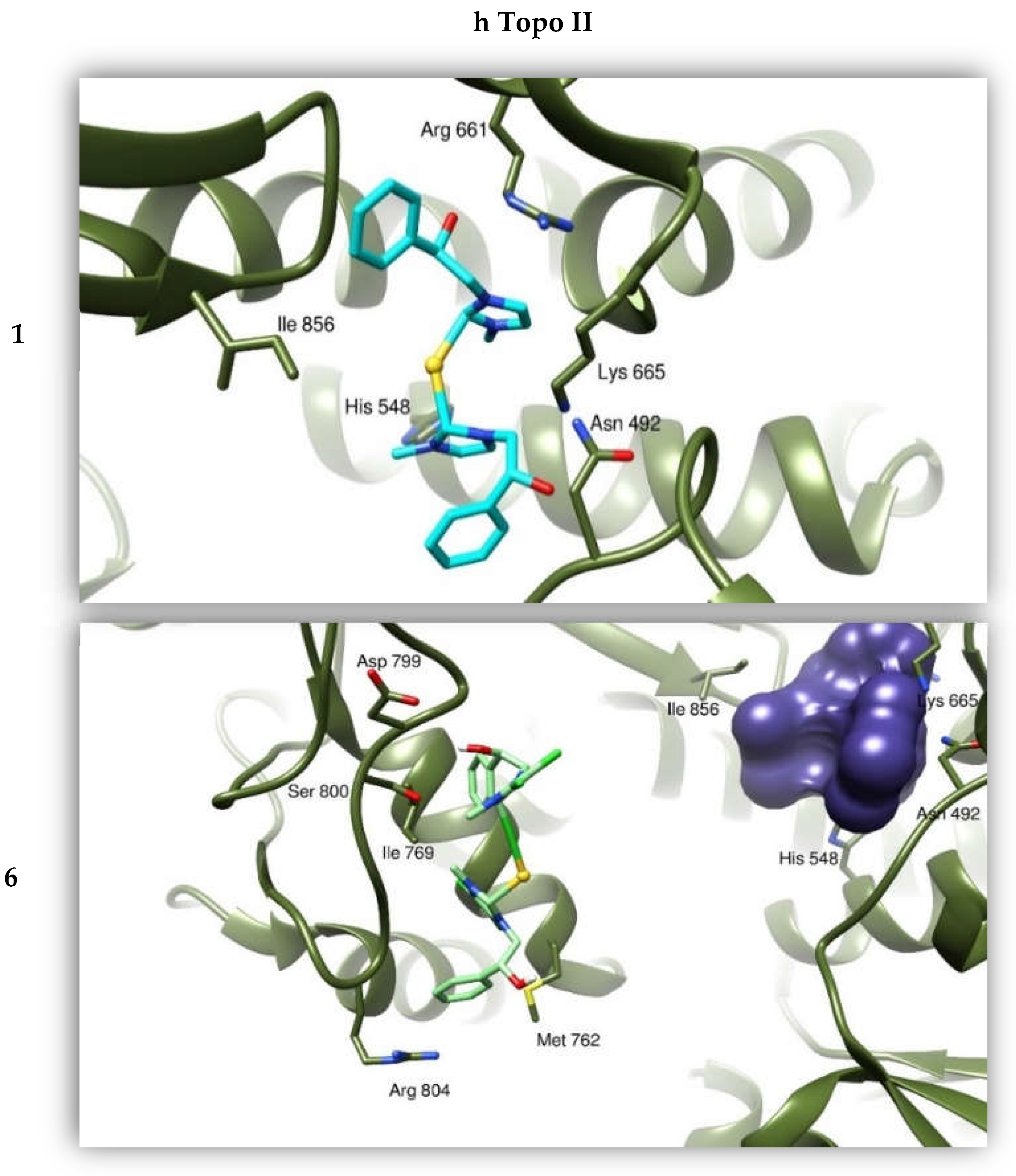 Pharmaceuticals 15 00507 g007b