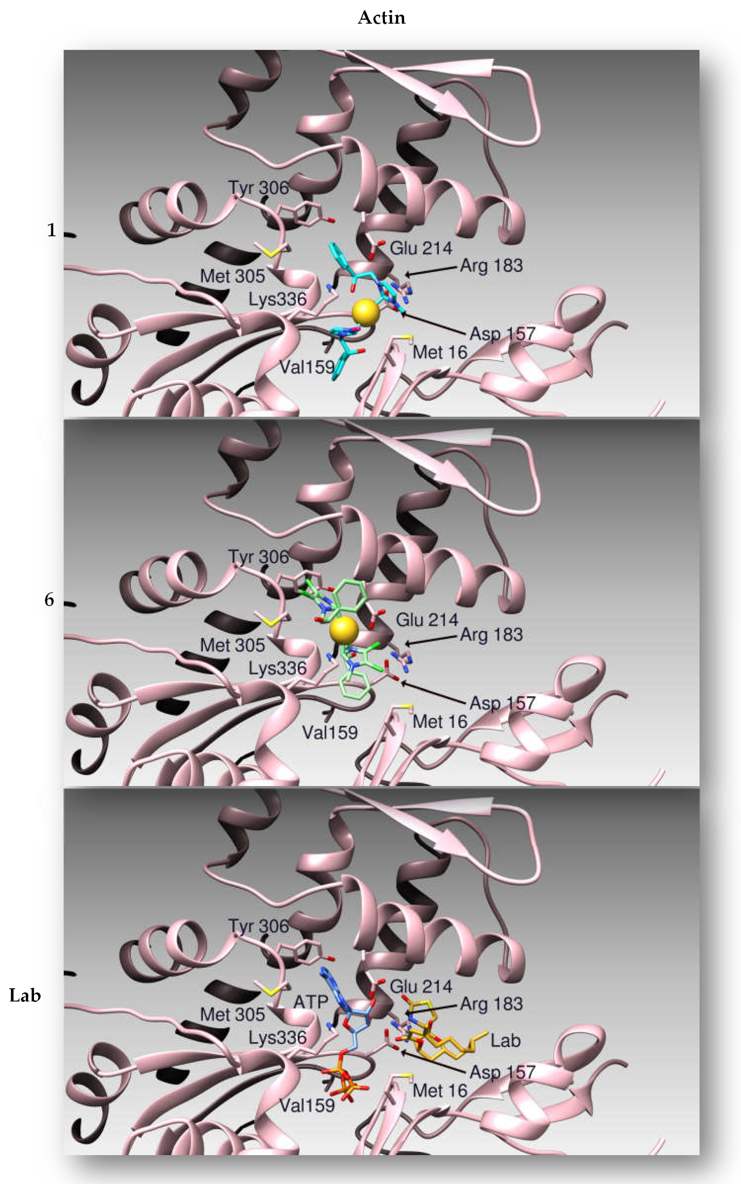 Pharmaceuticals 15 00507 g008