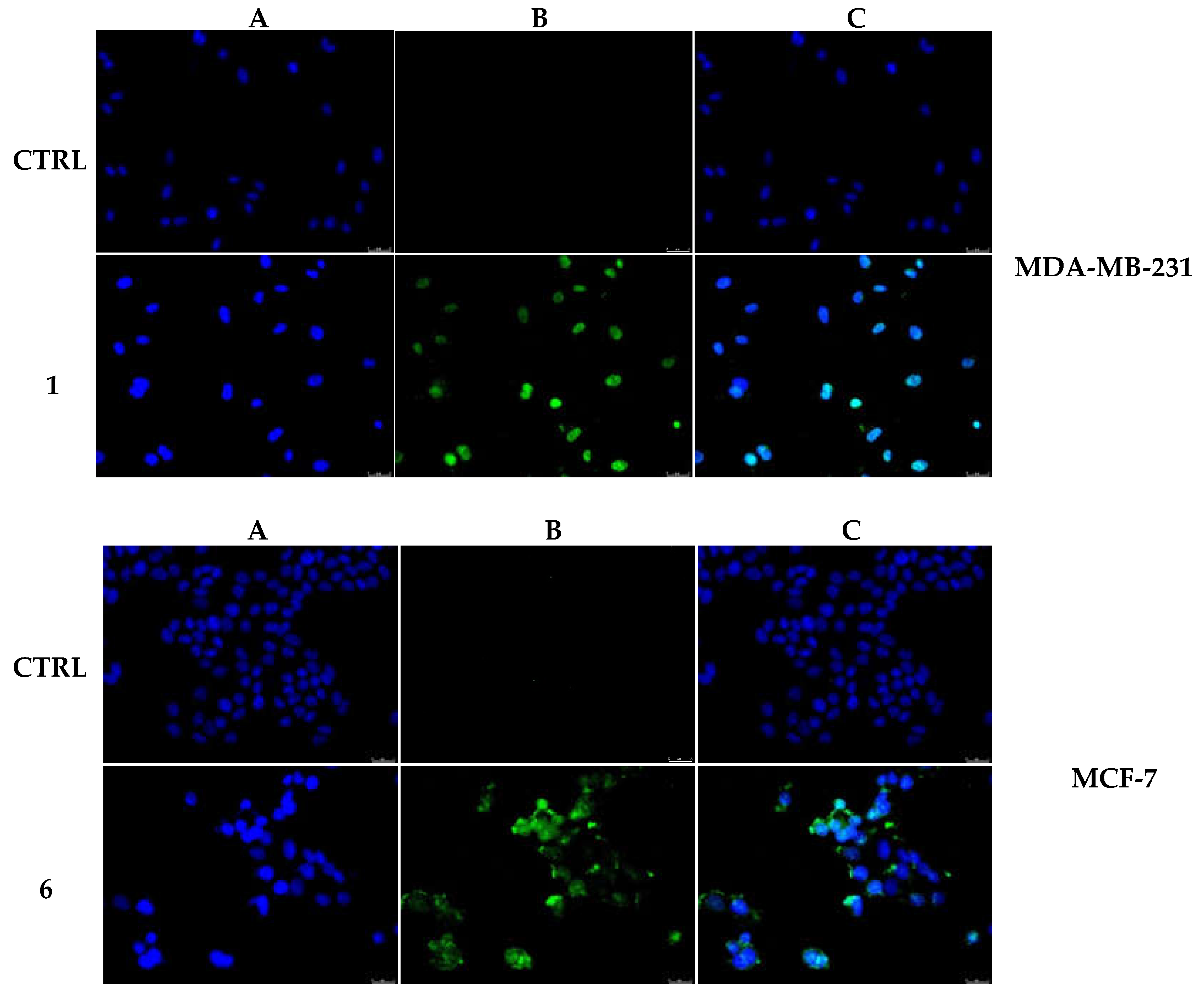 Pharmaceuticals 15 00507 g009