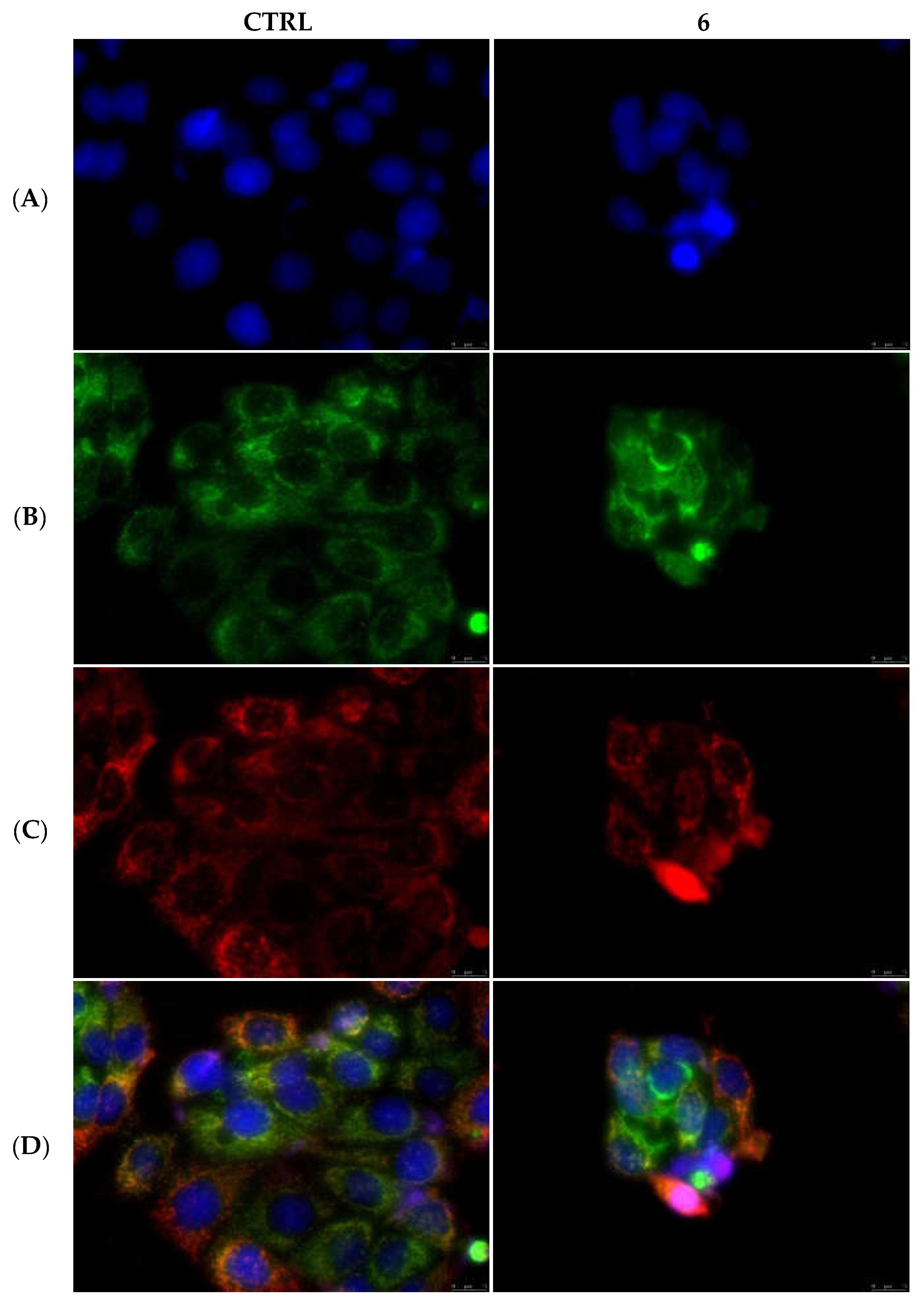 Pharmaceuticals 15 00507 g012