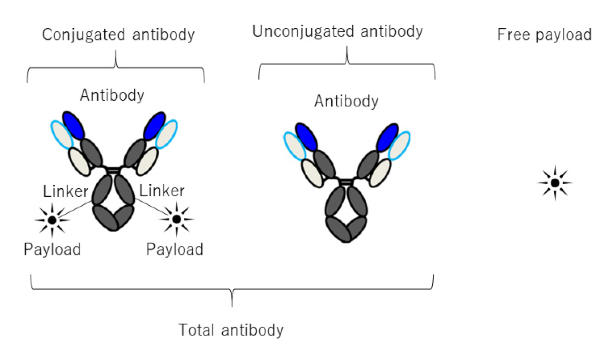 Pharmaceuticals 15 00508 g004 Pharmaceuticals 15 00508 g004