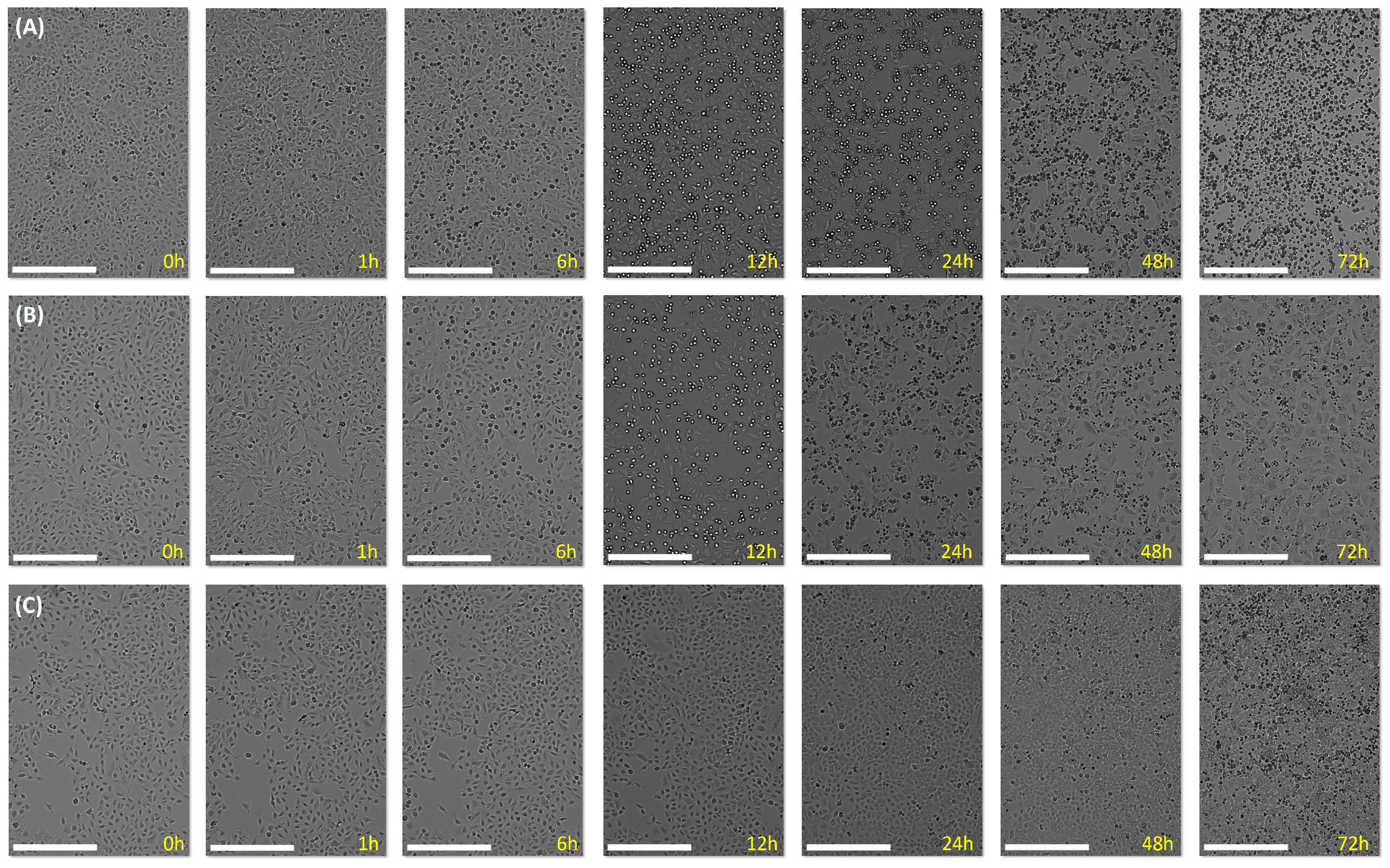 Pharmaceuticals 15 00511 g006 Pharmaceuticals 15 00511 g006