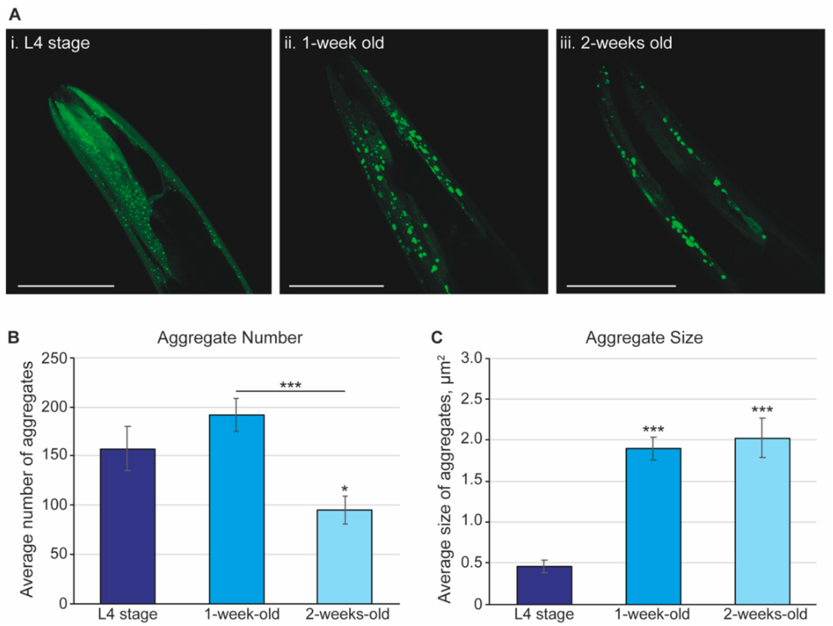 Pharmaceuticals 15 00512 g001 Pharmaceuticals 15 00512 g001