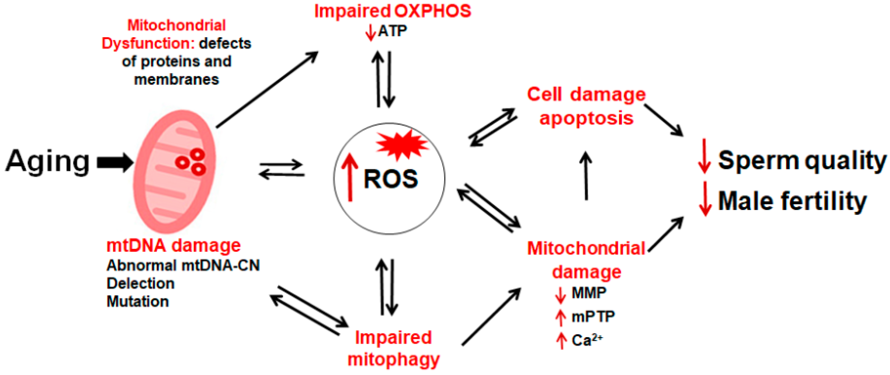 Pharmaceuticals 15 00519 g004