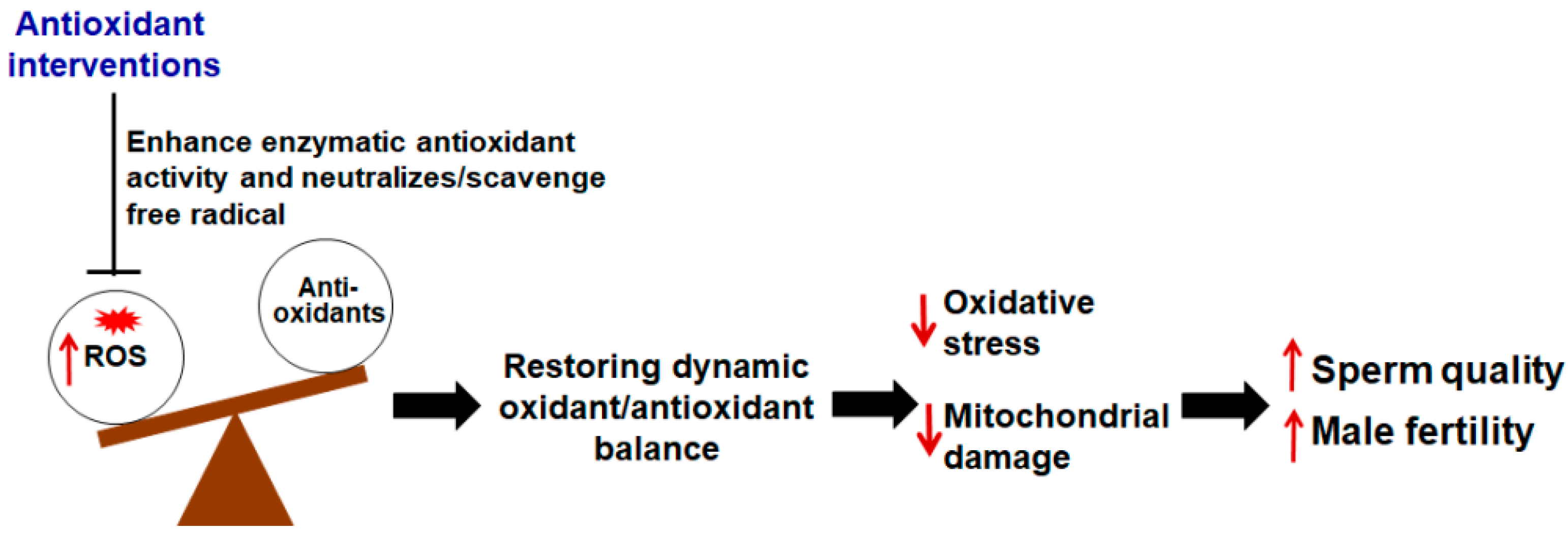 Pharmaceuticals 15 00519 g005