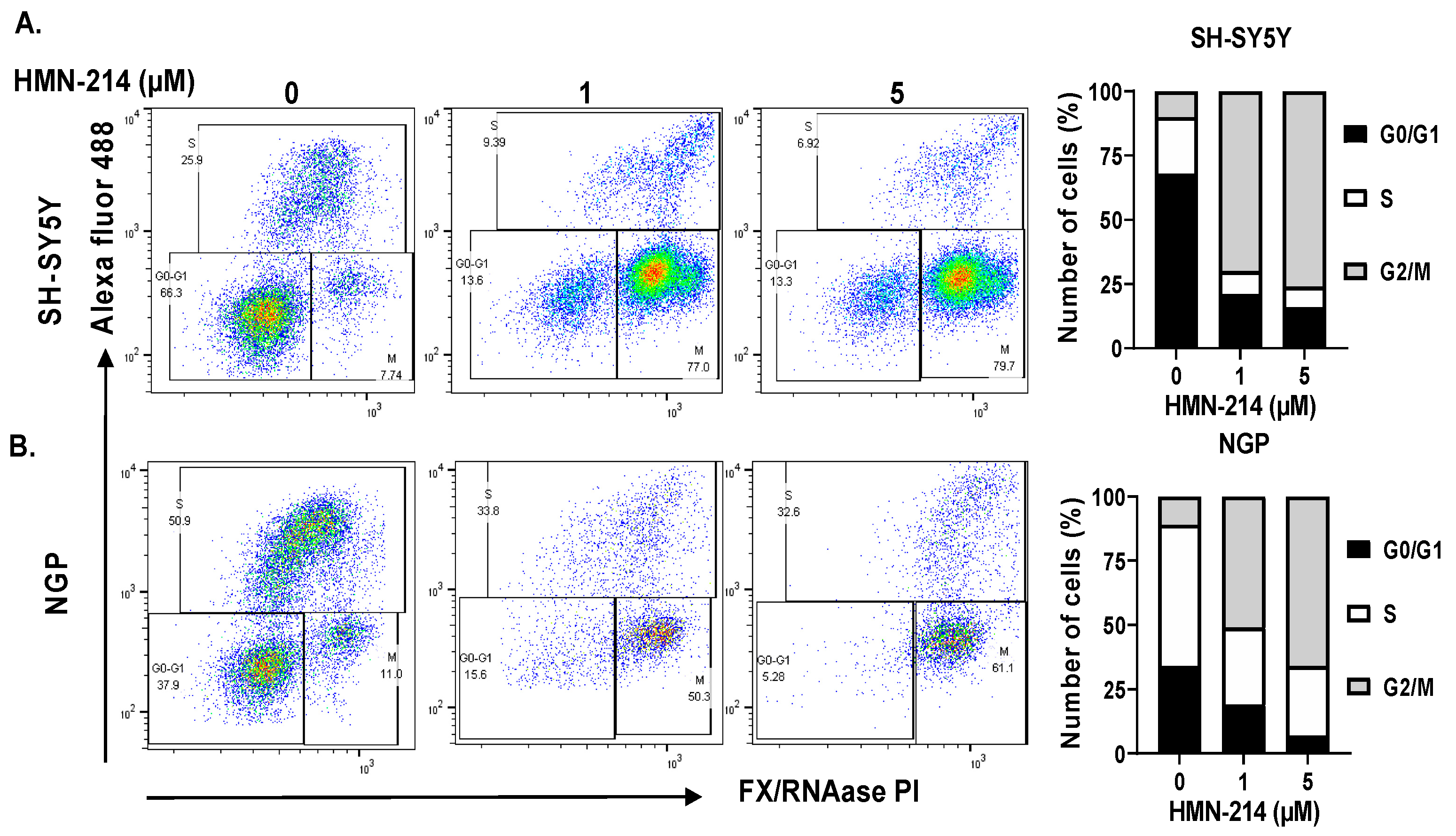 Pharmaceuticals 15 00523 g005