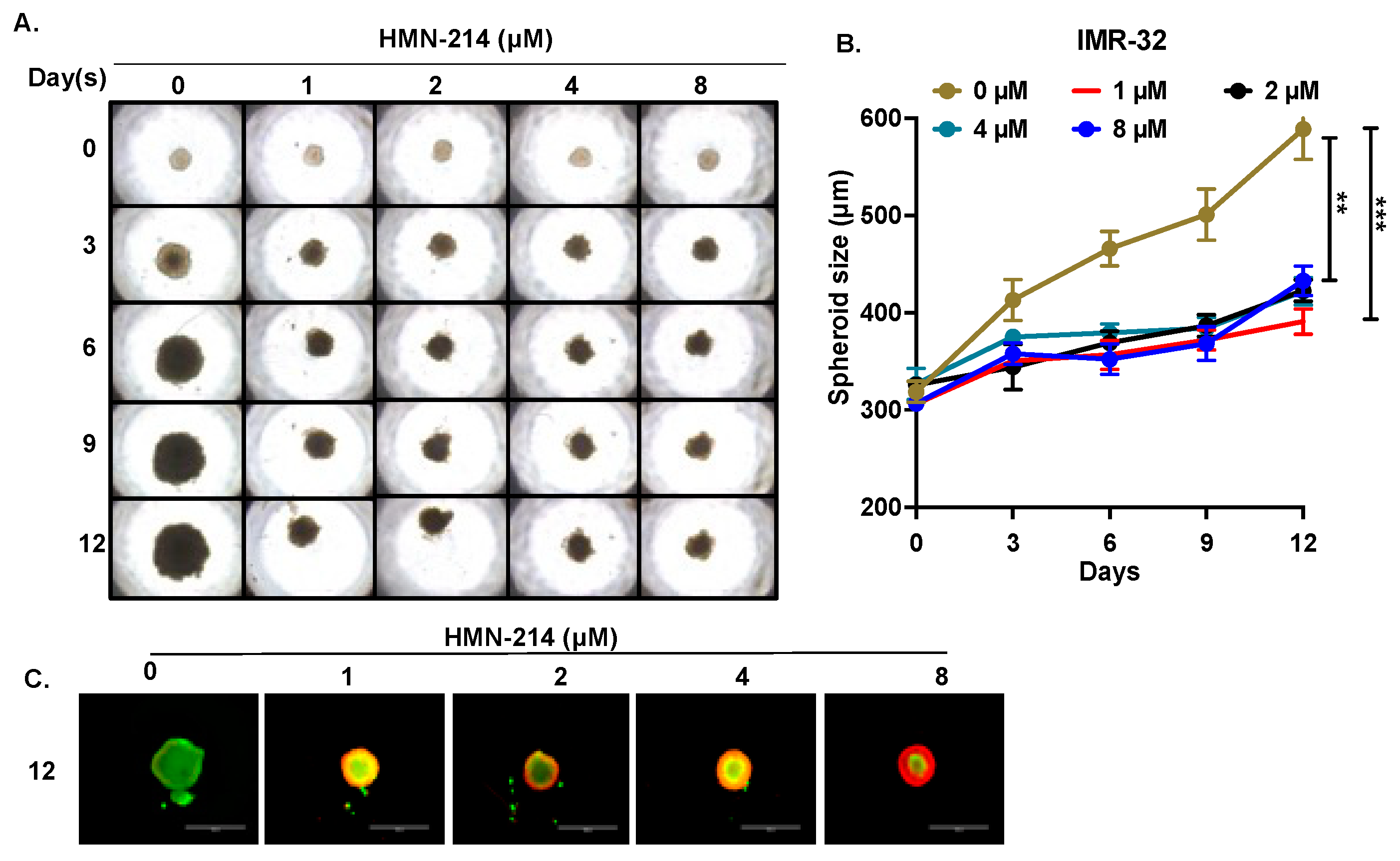Pharmaceuticals 15 00523 g007