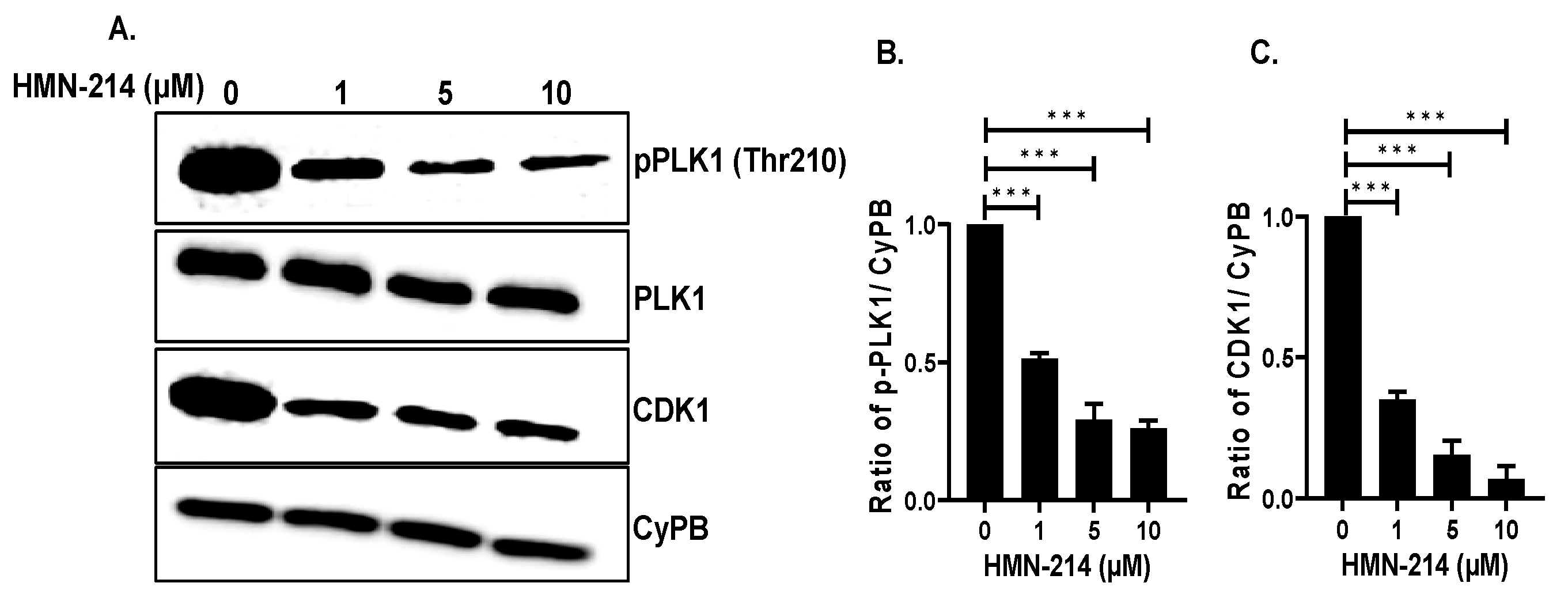 Pharmaceuticals 15 00523 g009