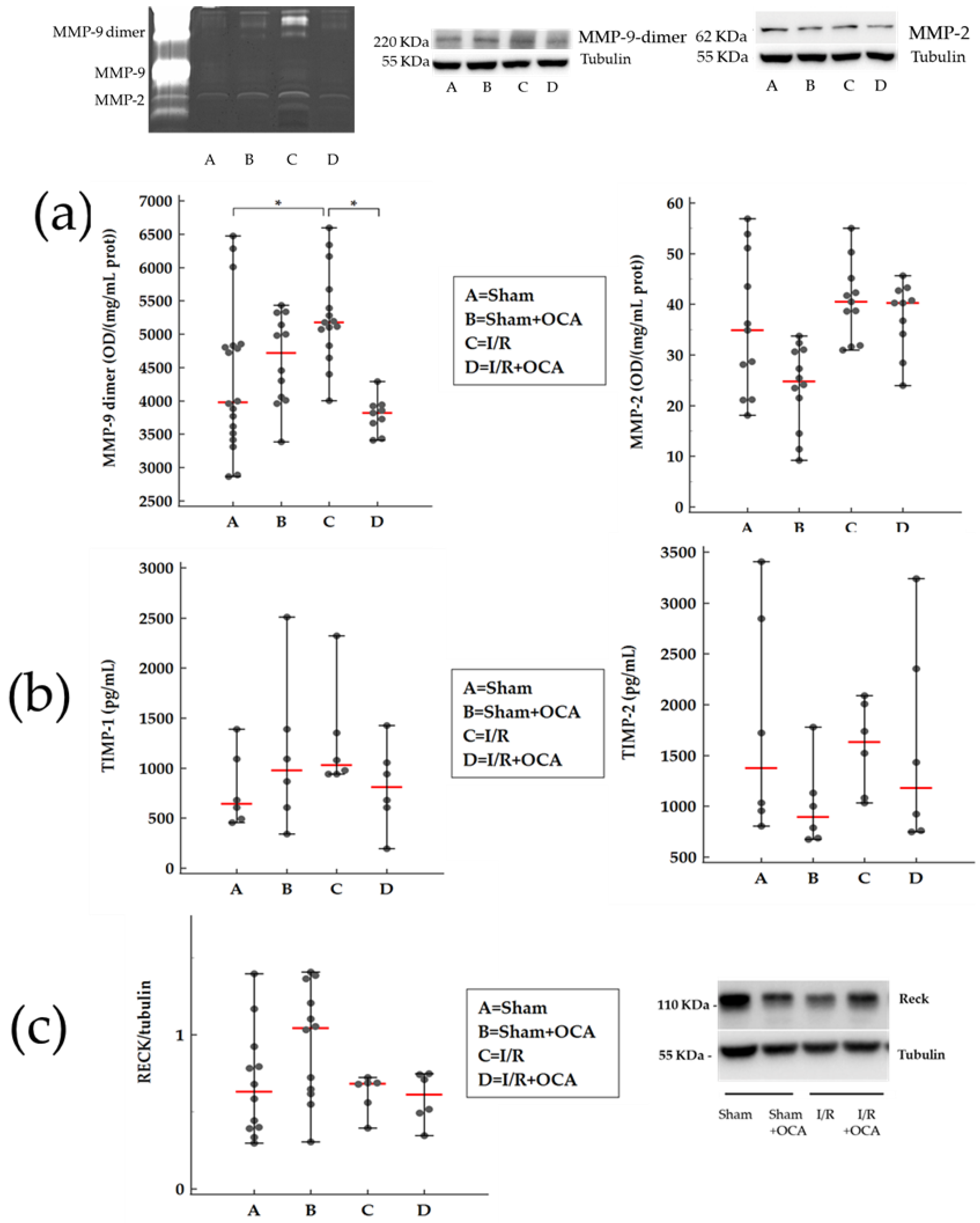 Pharmaceuticals 15 00524 g002