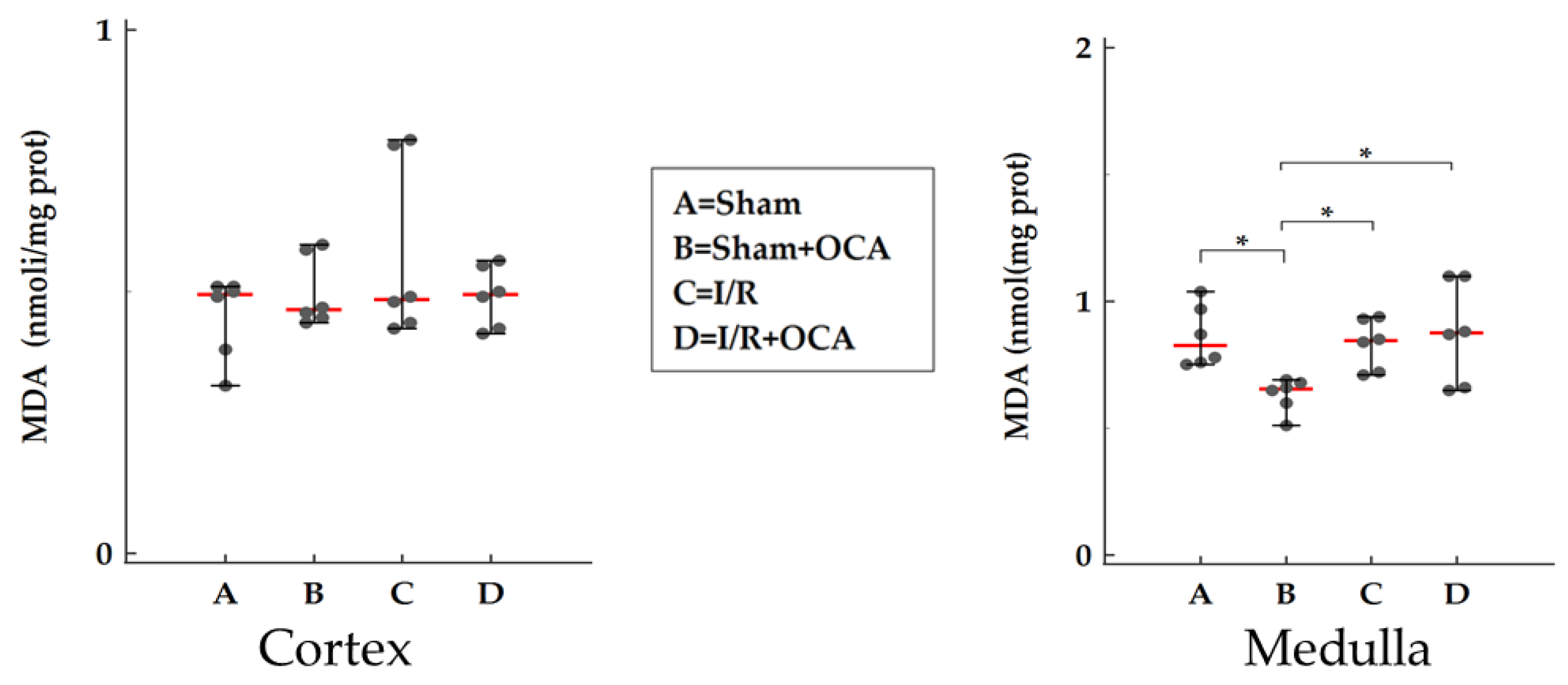 Pharmaceuticals 15 00524 g006
