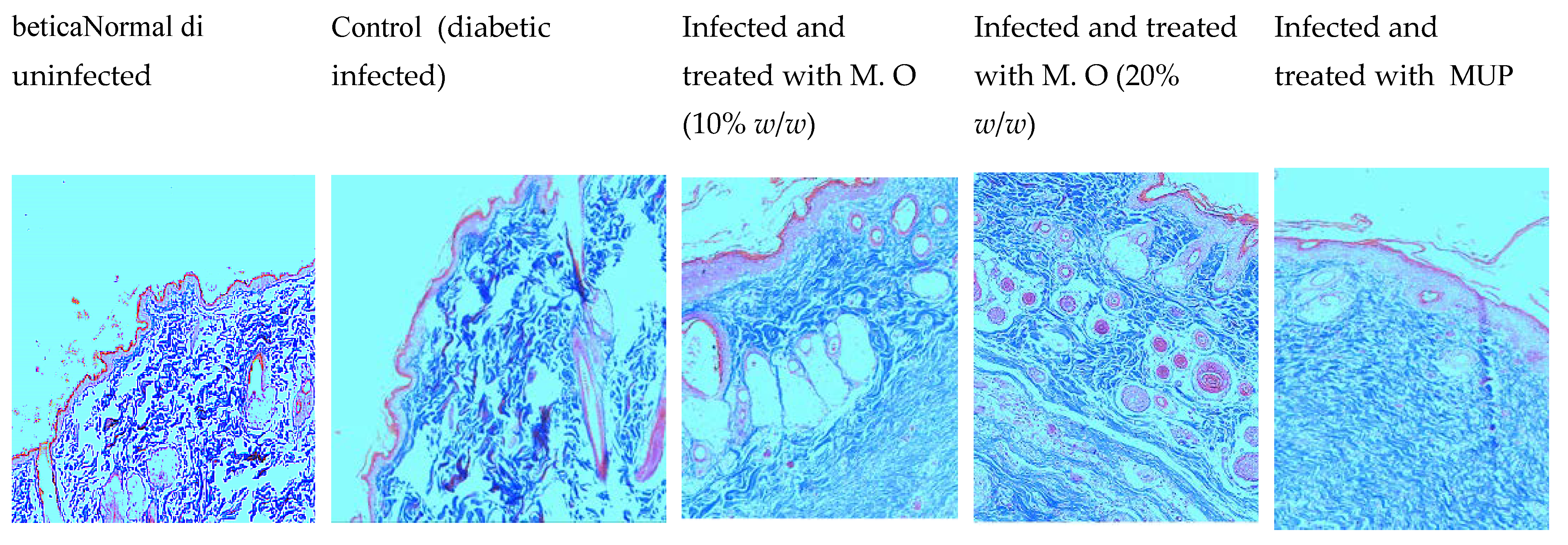 Pharmaceuticals 15 00528 g006 550
