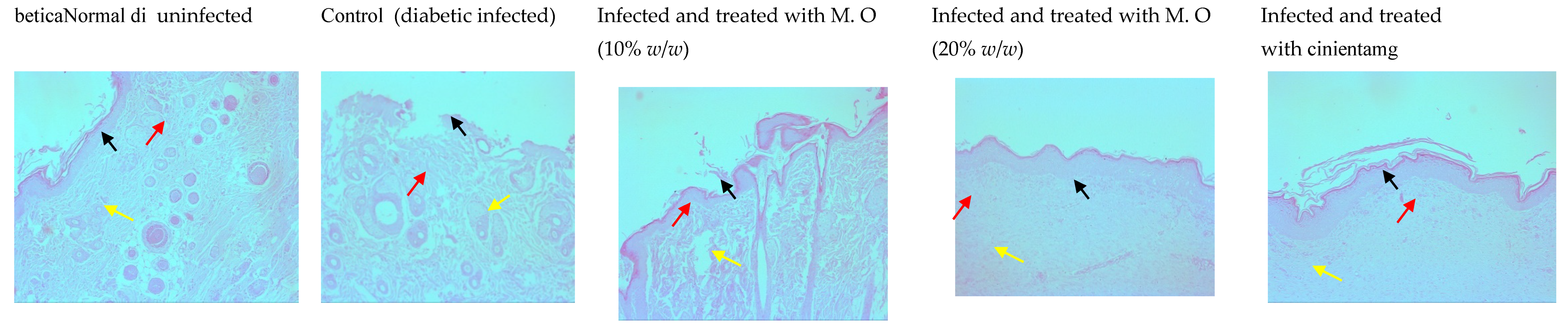Pharmaceuticals 15 00528 g010 550