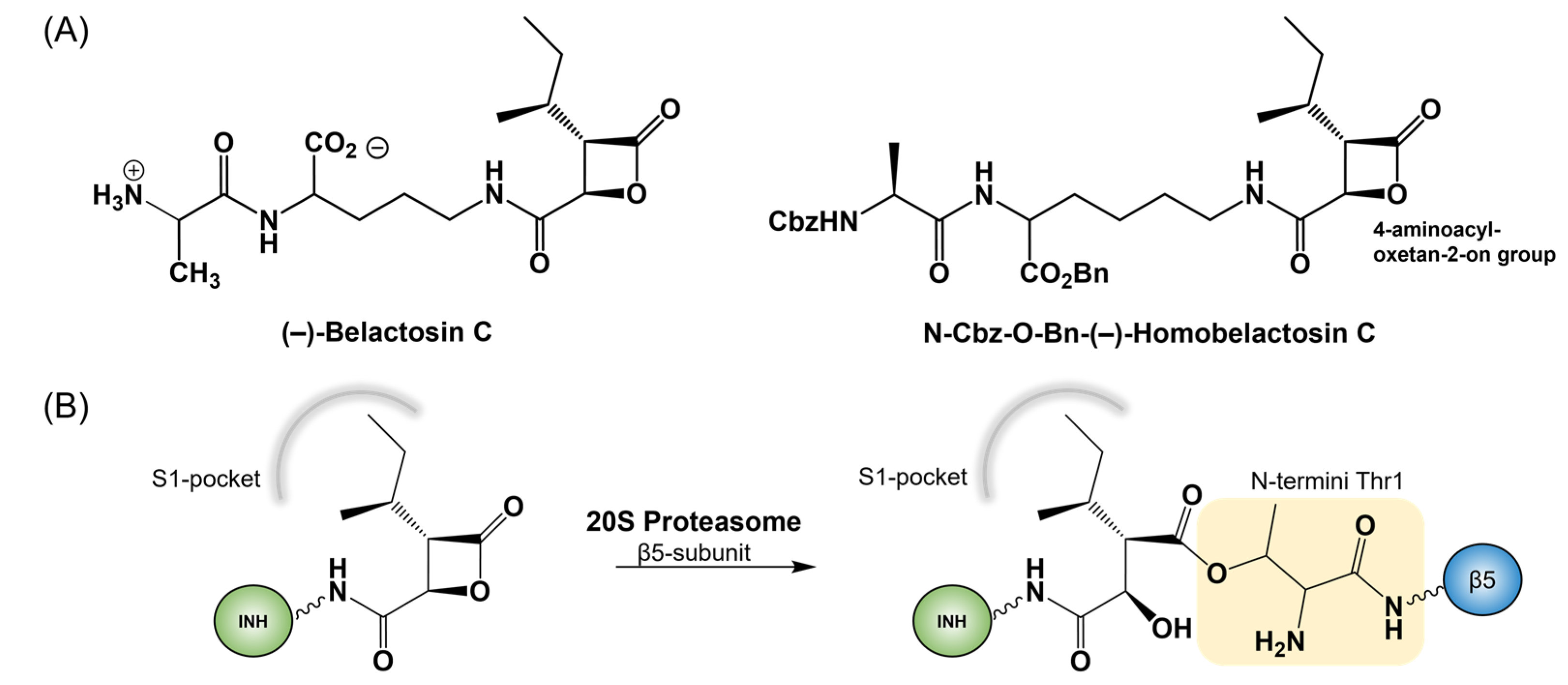 Pharmaceuticals 15 00531 g002 Pharmaceuticals 15 00531 g002