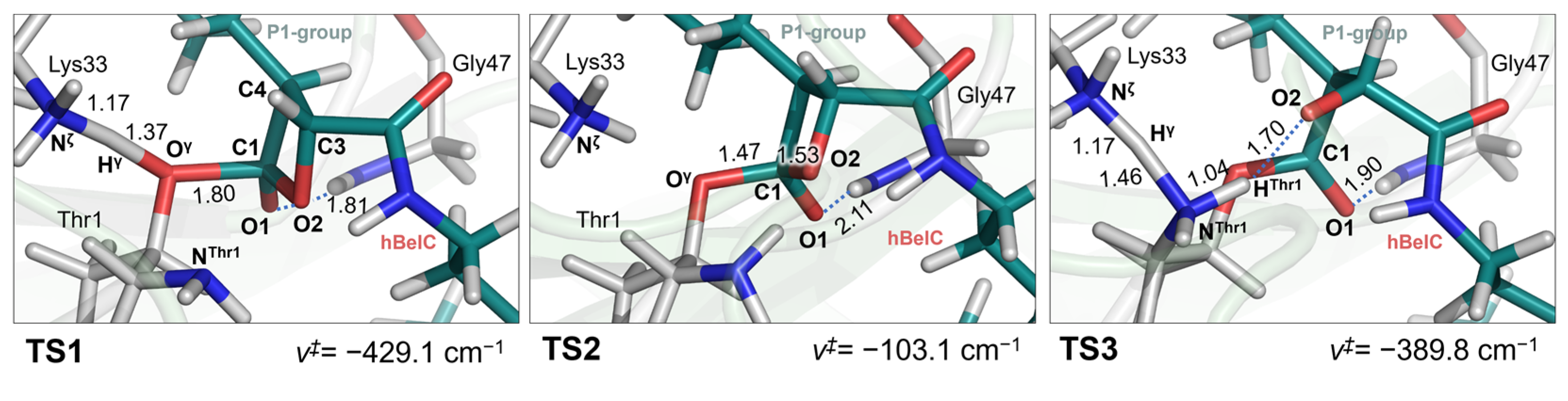 Pharmaceuticals 15 00531 g007 Pharmaceuticals 15 00531 g007