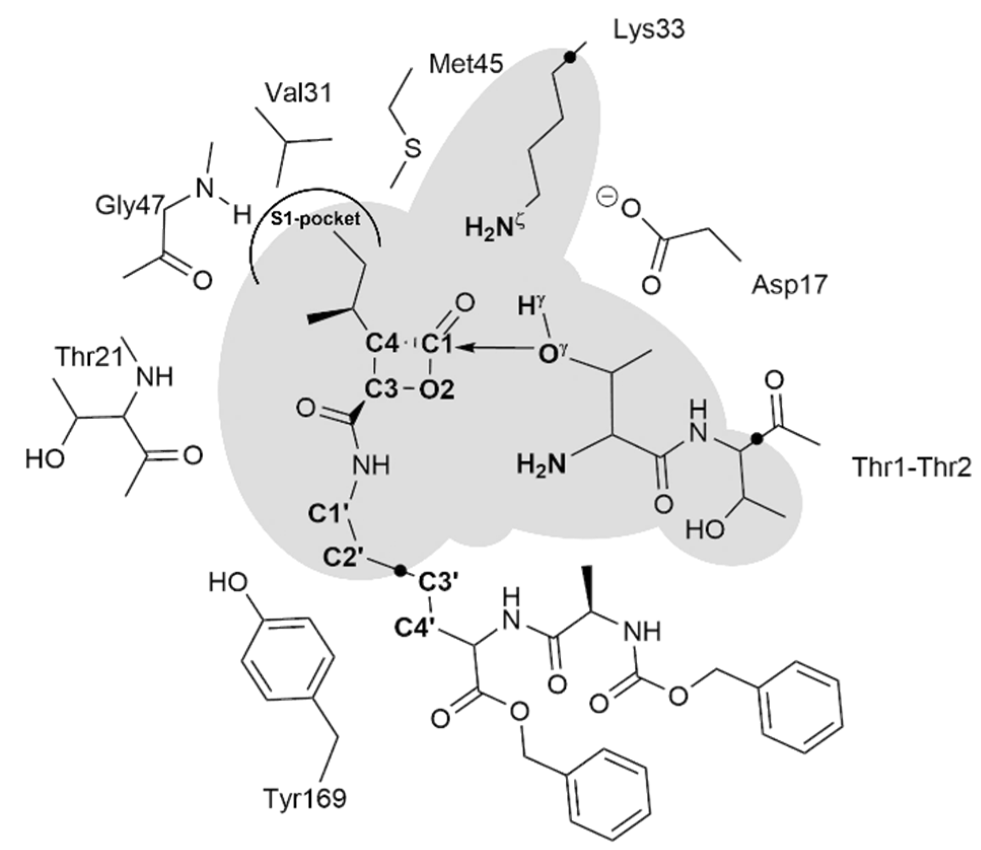 Pharmaceuticals 15 00531 g012 Pharmaceuticals 15 00531 g012