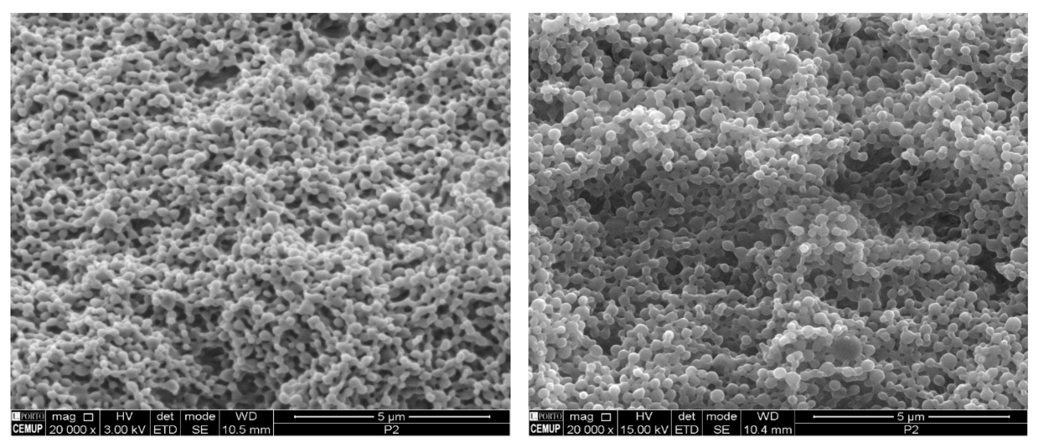 Pharmaceuticals 15 00535 g003