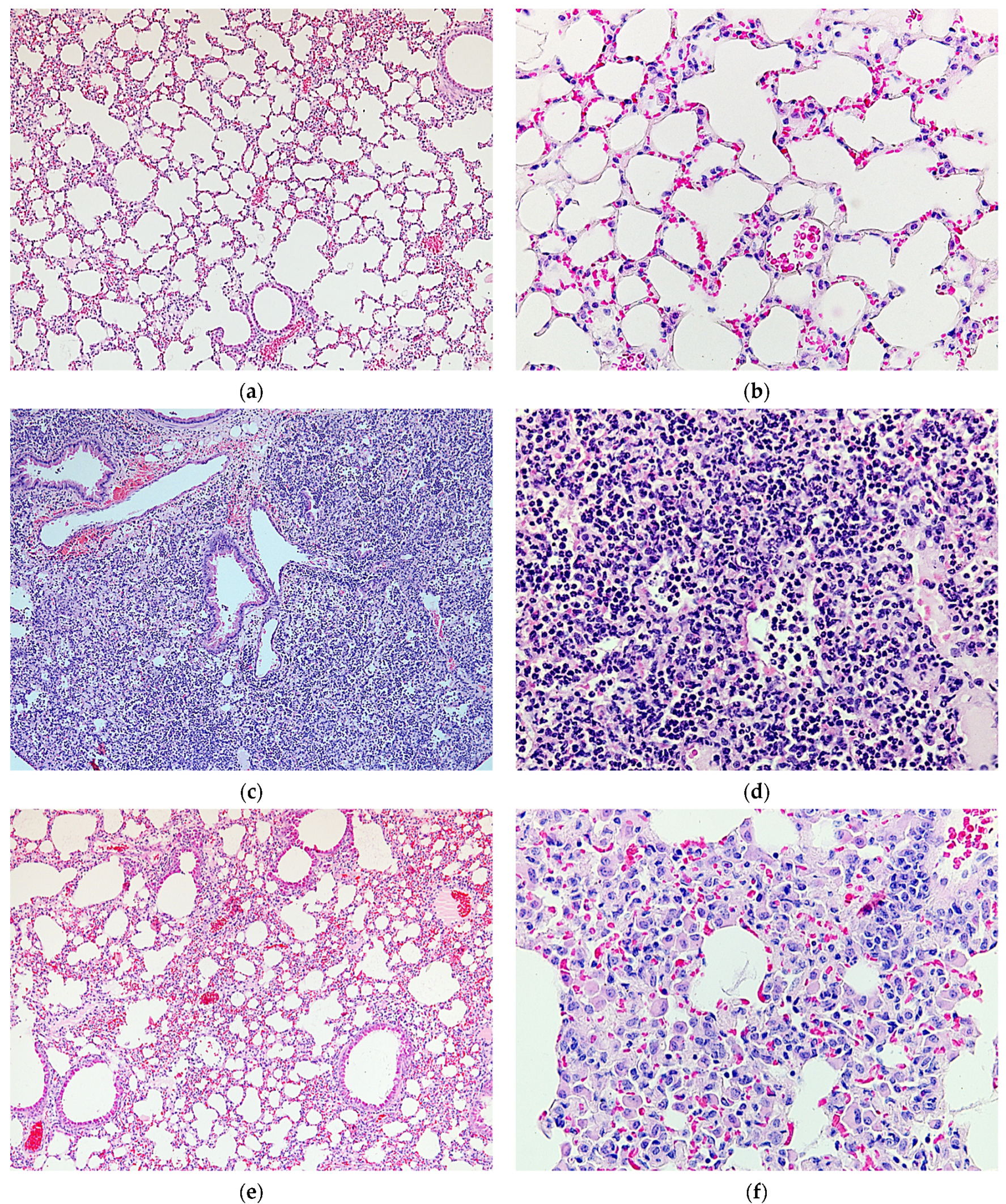 Pharmaceuticals 15 00537 g008a Pharmaceuticals 15 00537 g008a