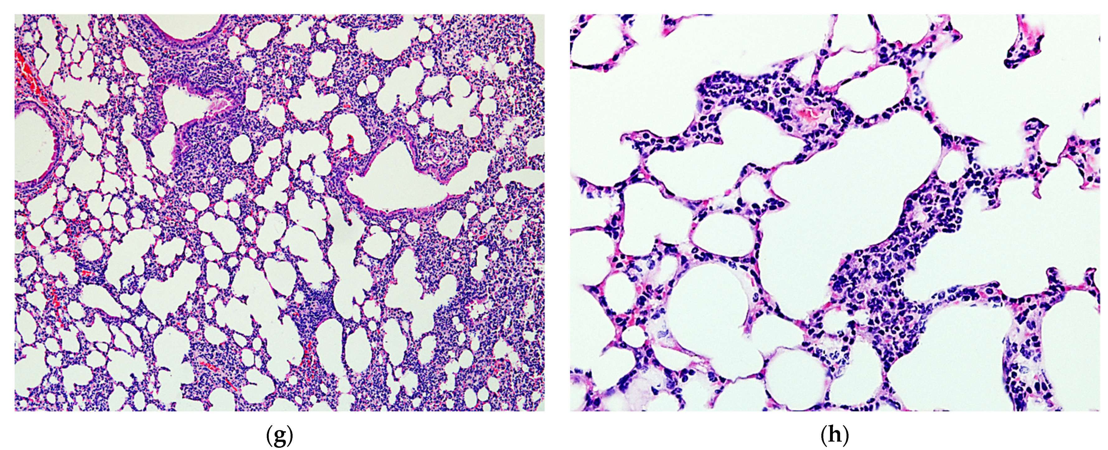 Pharmaceuticals 15 00537 g008b Pharmaceuticals 15 00537 g008b