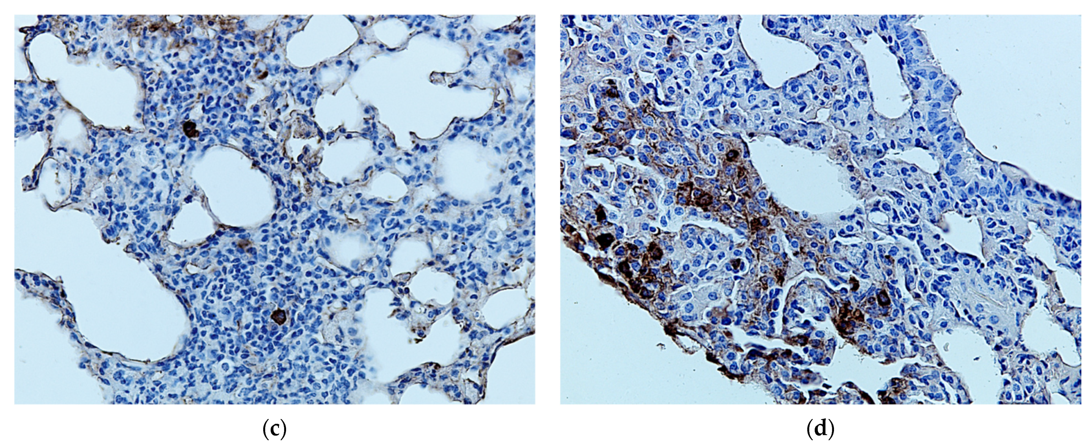 Pharmaceuticals 15 00537 g009b Pharmaceuticals 15 00537 g009b