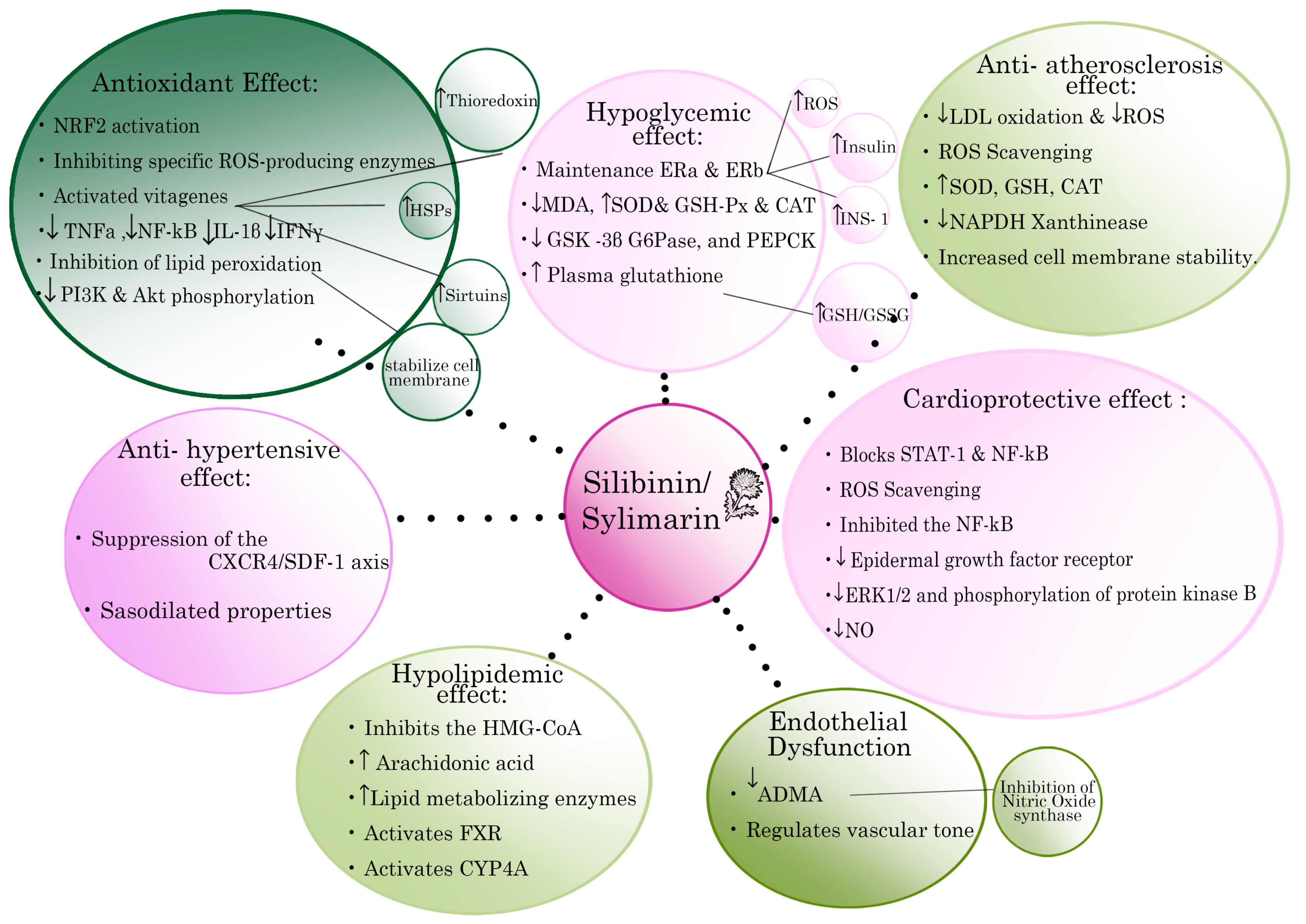 Pharmaceuticals 15 00538 g001 550