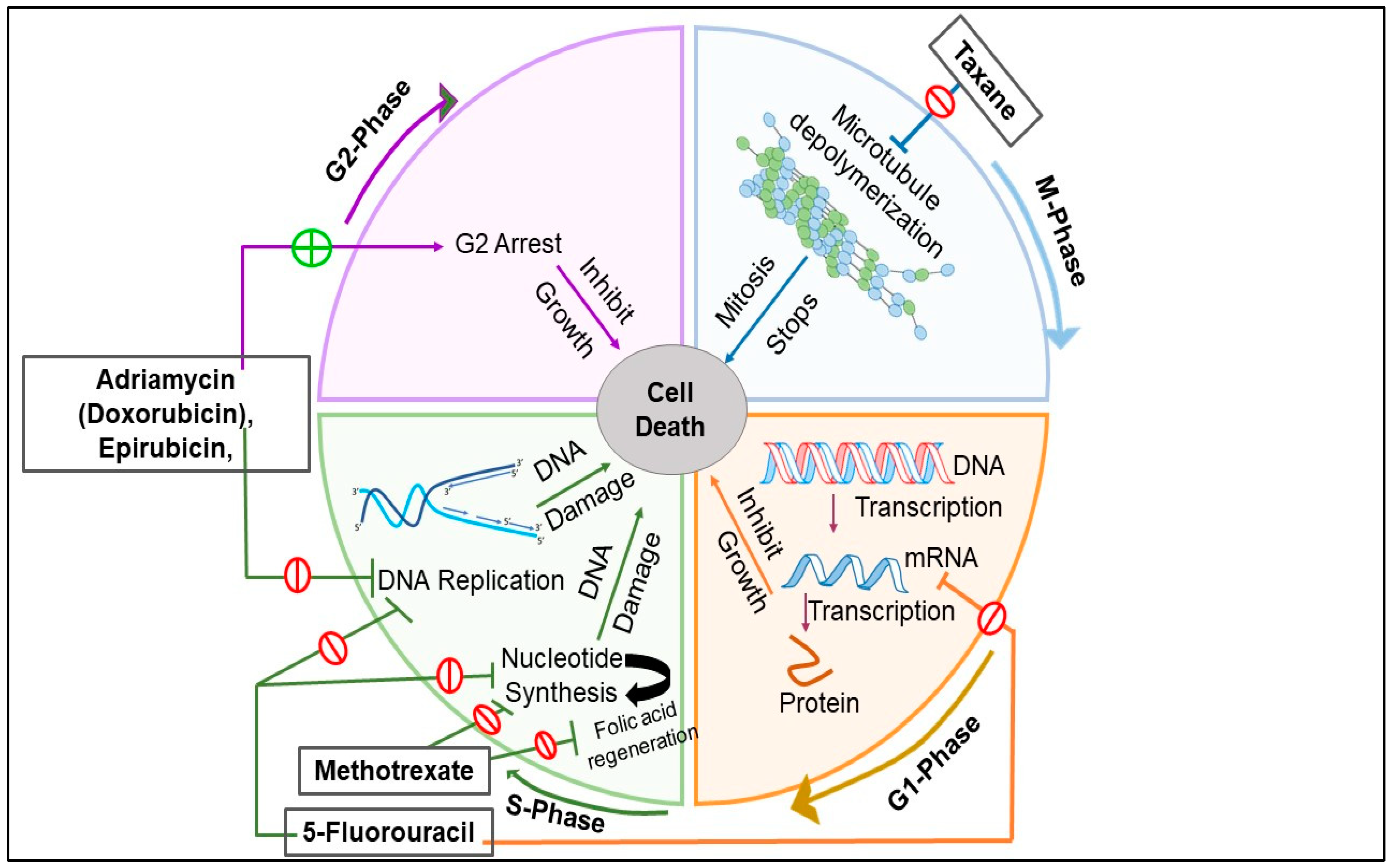 Pharmaceuticals 15 00542 g004 Pharmaceuticals 15 00542 g004