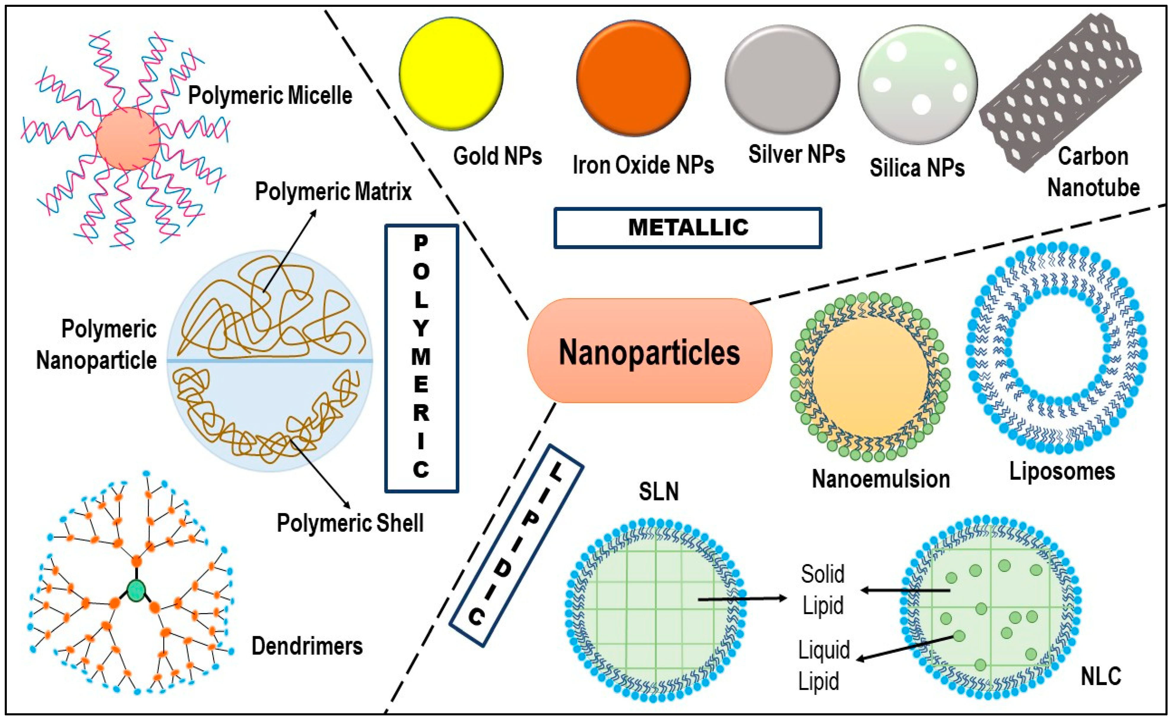 Pharmaceuticals 15 00542 g005 Pharmaceuticals 15 00542 g005