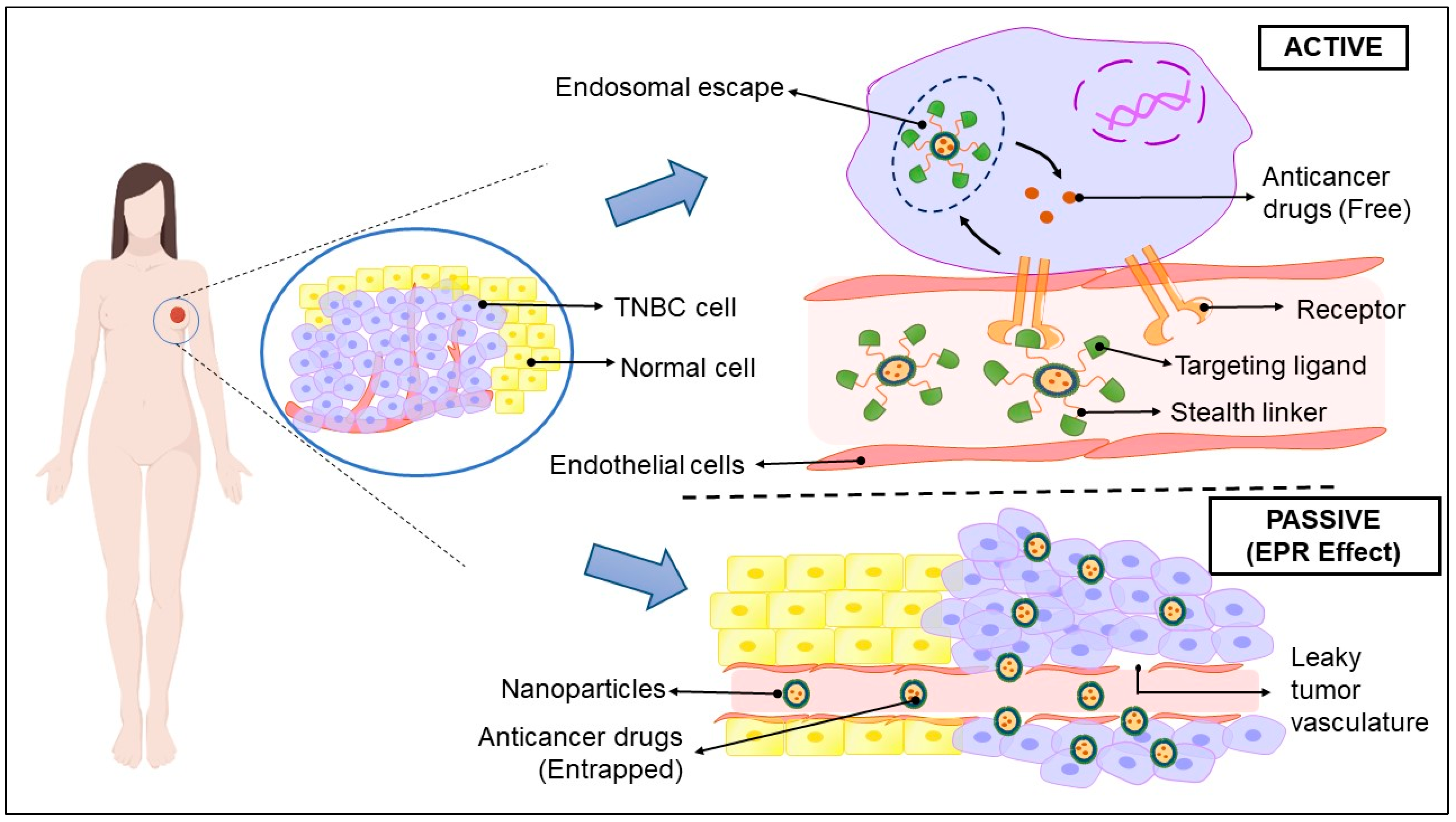 Pharmaceuticals 15 00542 g006 Pharmaceuticals 15 00542 g006