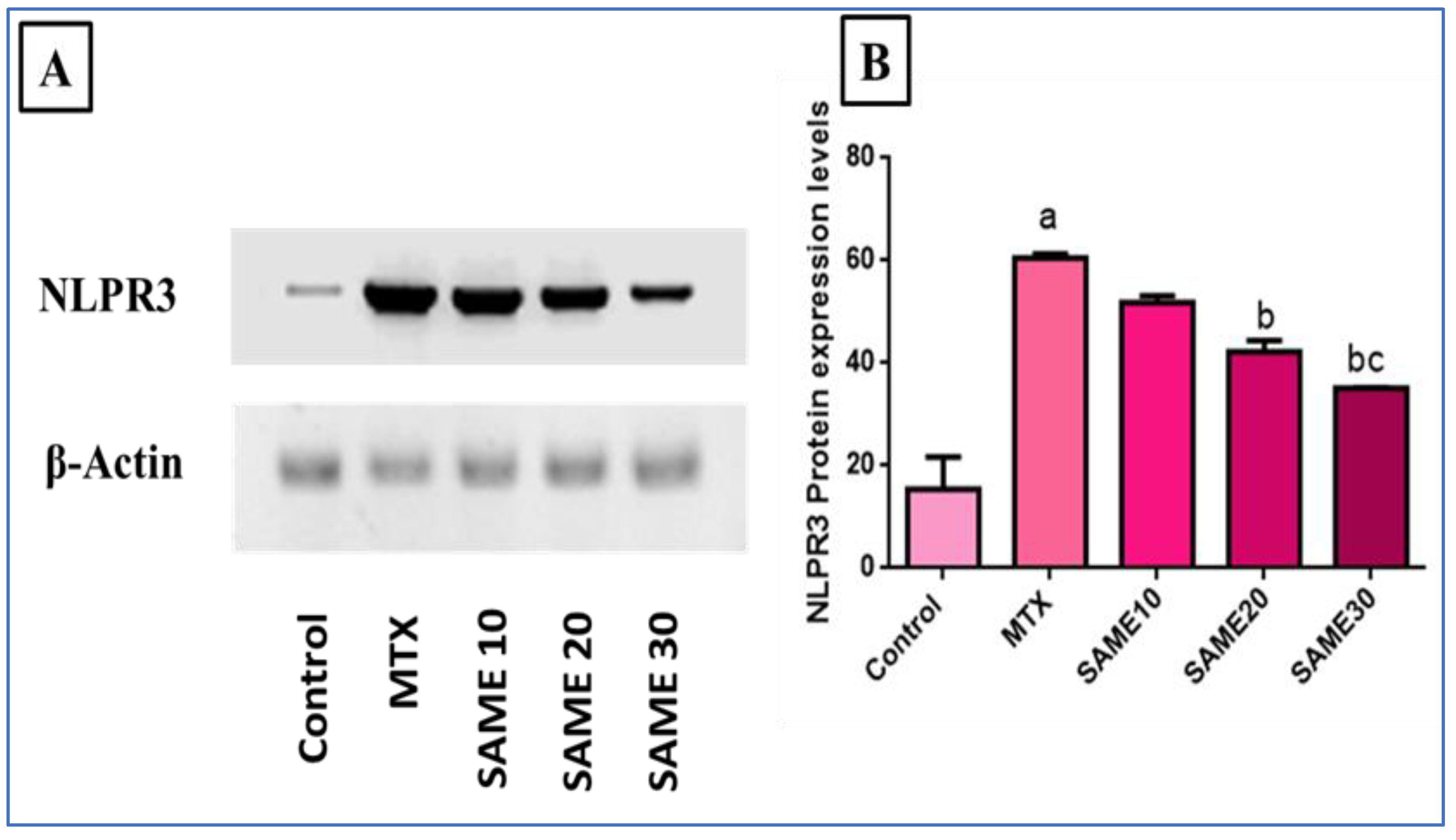 Pharmaceuticals 15 00549 g006