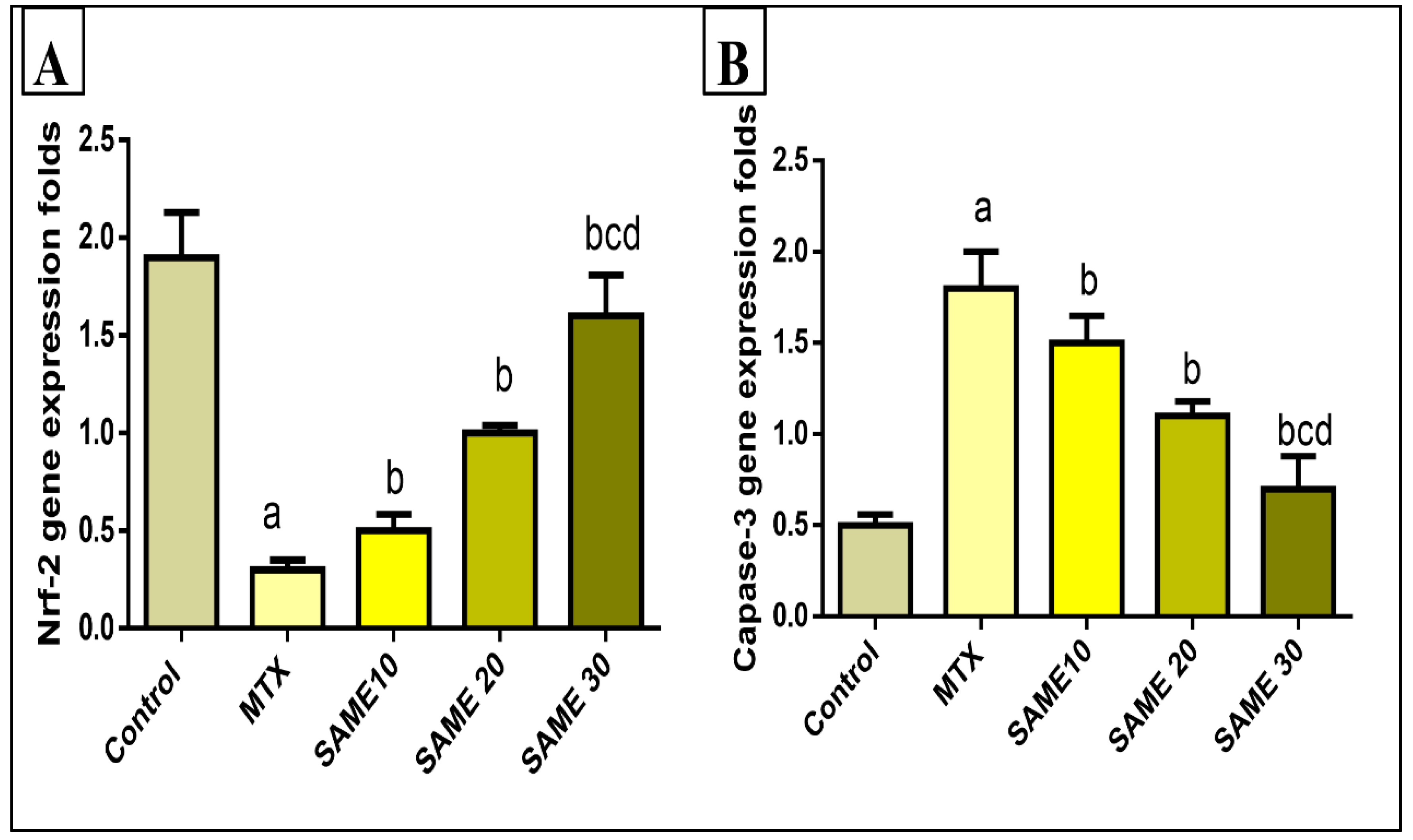 Pharmaceuticals 15 00549 g008
