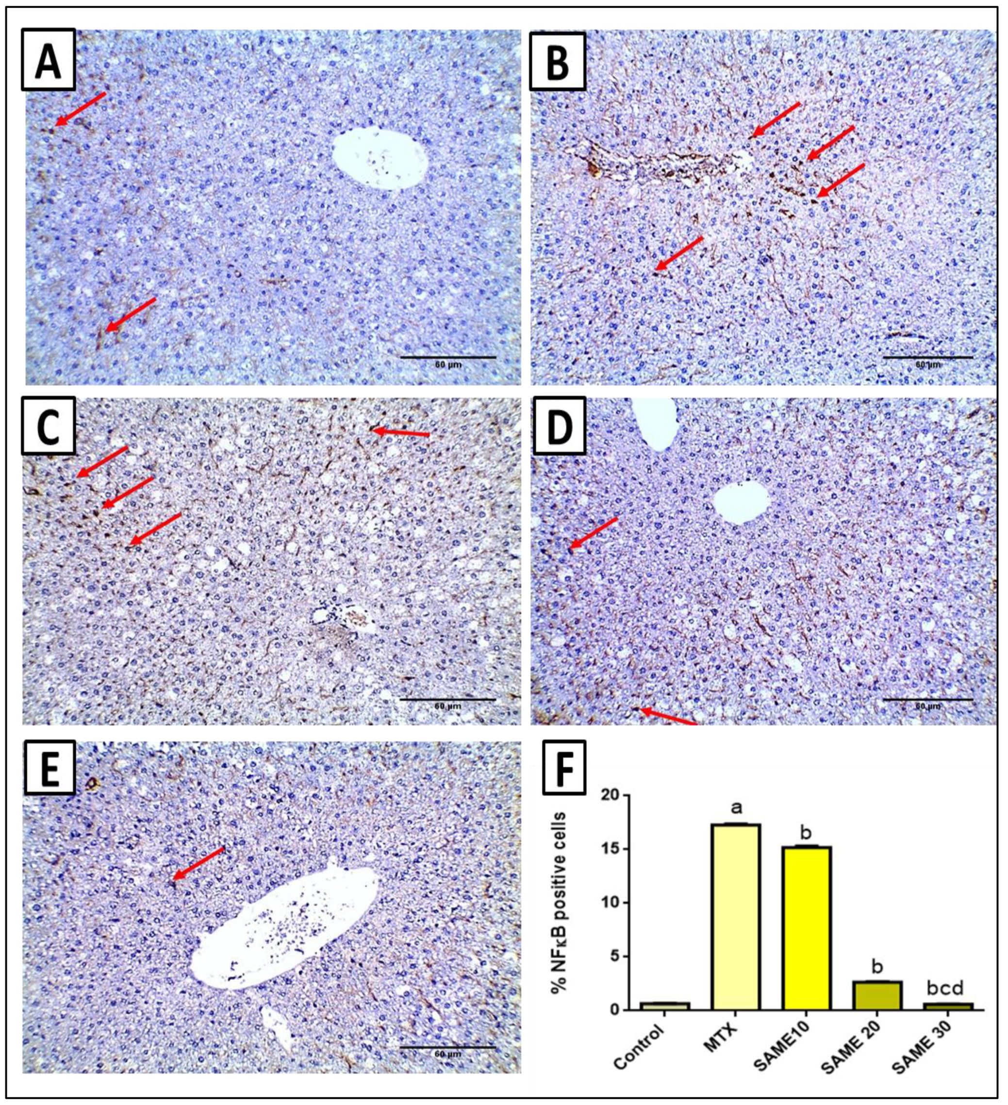 Pharmaceuticals 15 00549 g009