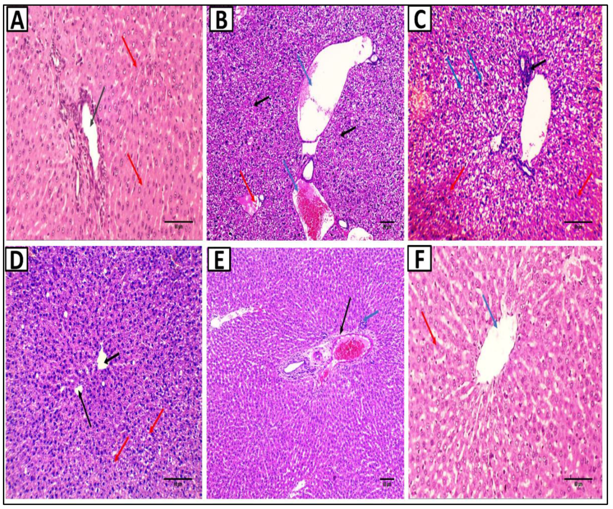 Pharmaceuticals 15 00549 g010