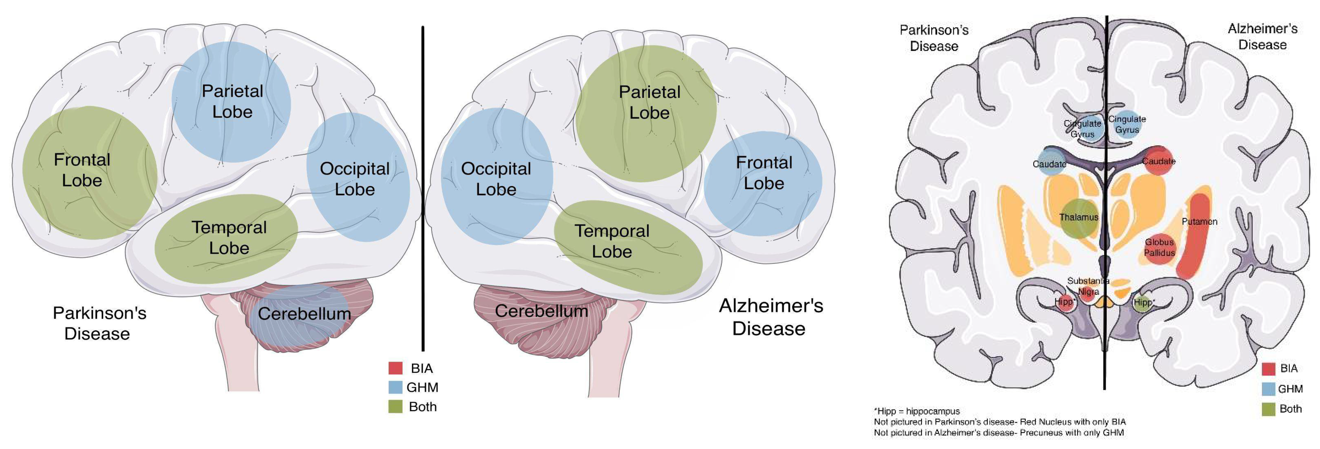 Pharmaceuticals 15 00551 g001 Pharmaceuticals 15 00551 g001