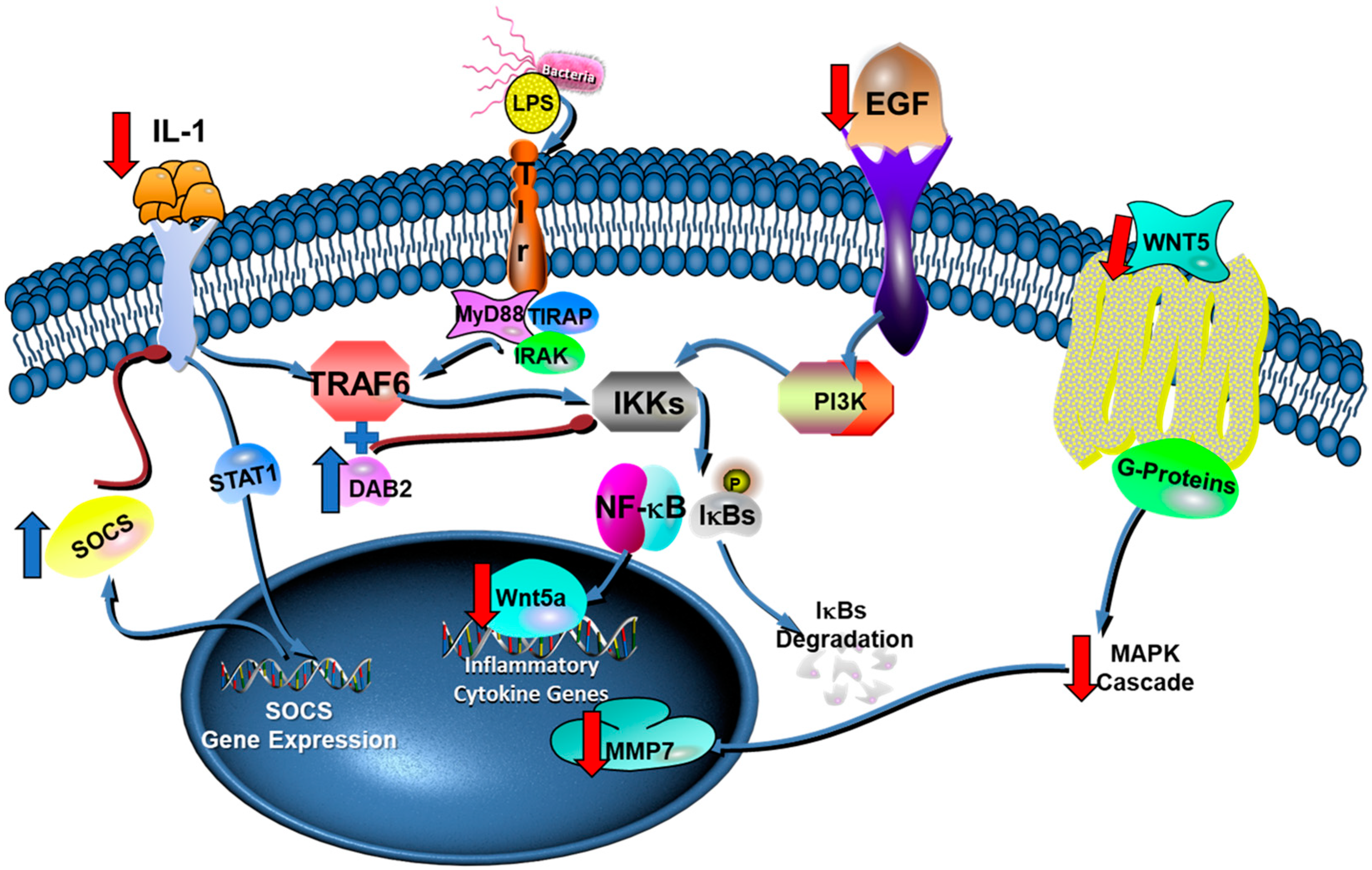Pharmaceuticals 15 00553 g004