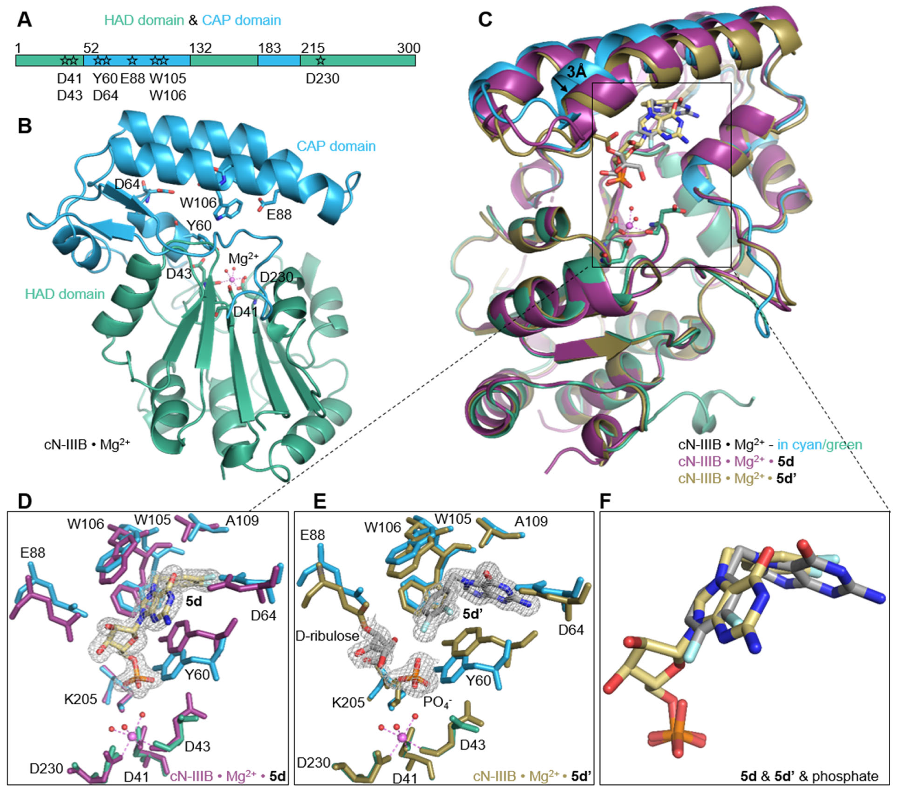 Pharmaceuticals 15 00554 g005