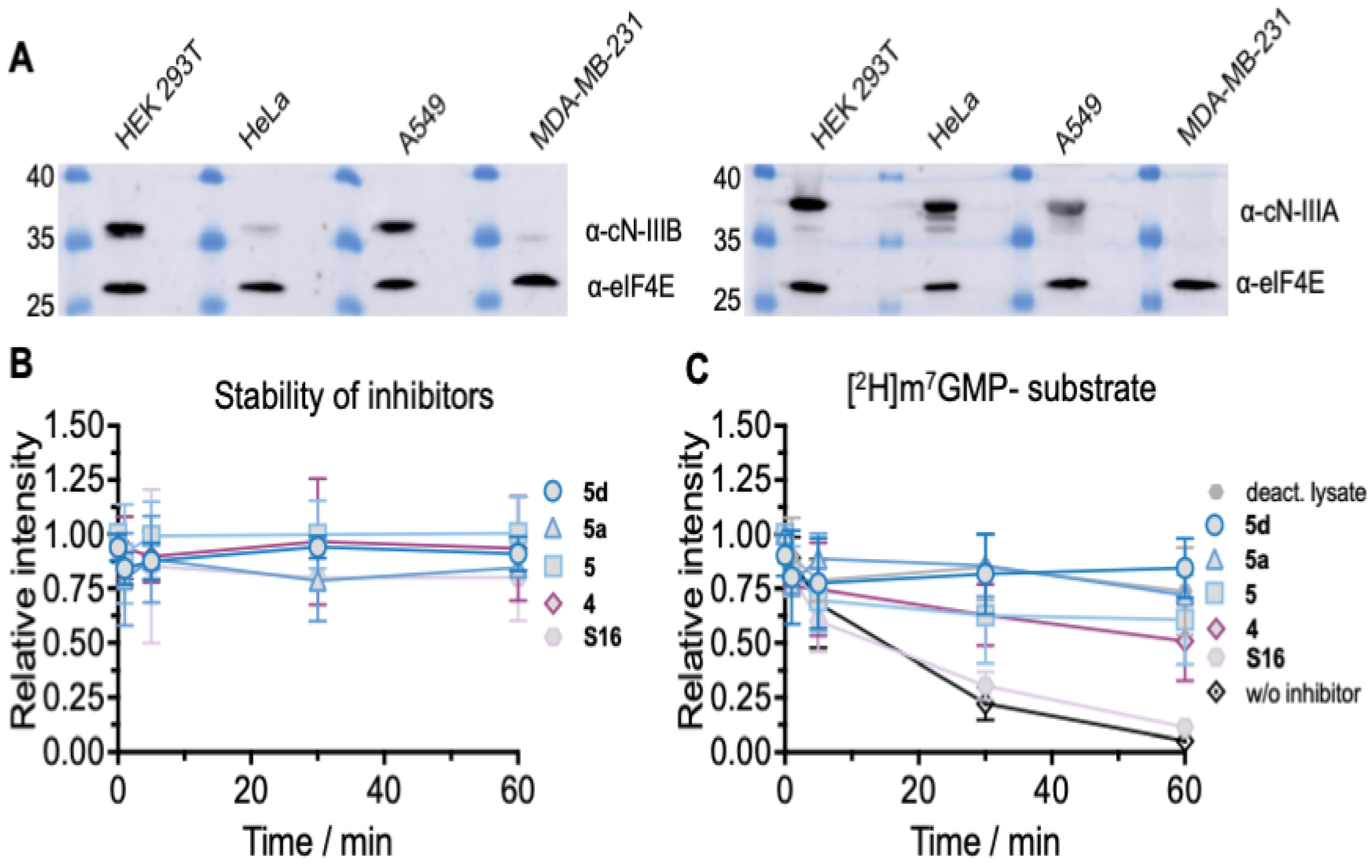 Pharmaceuticals 15 00554 g009