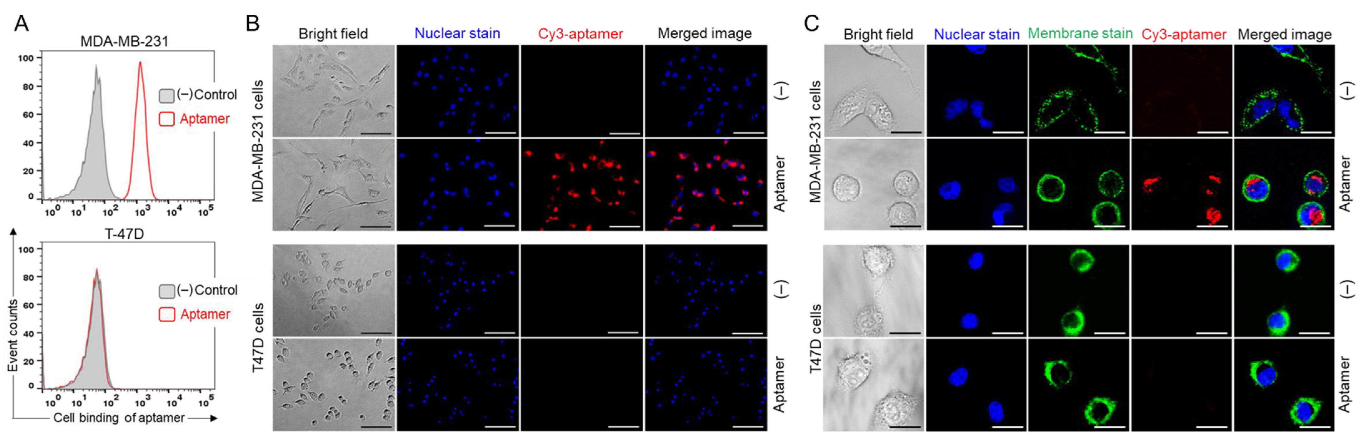 Pharmaceuticals 15 00558 g004 550