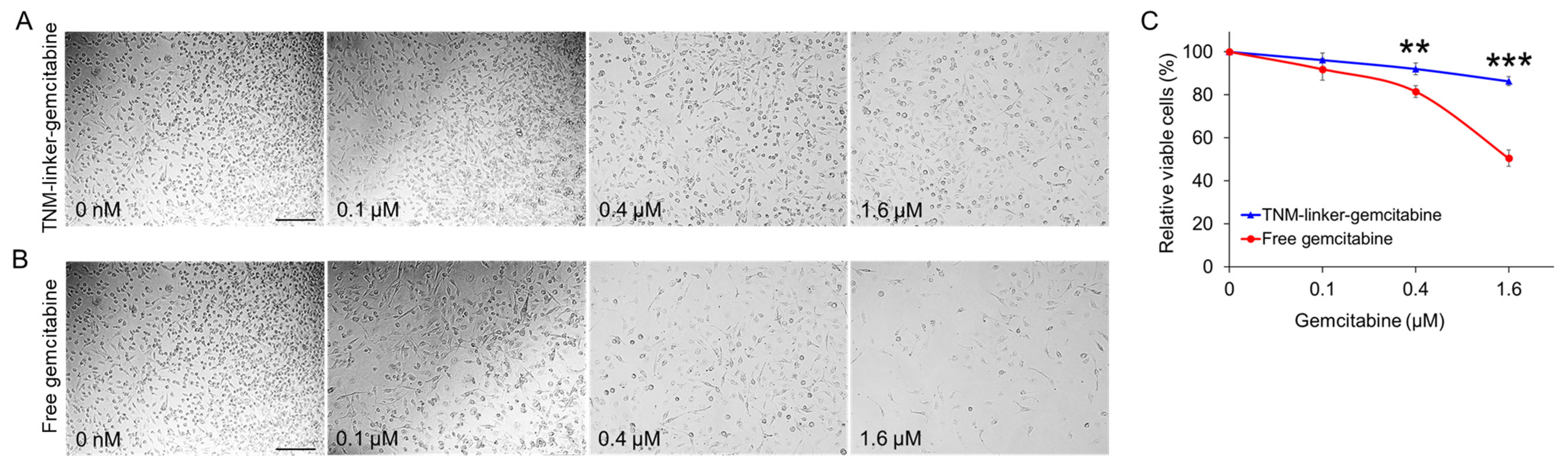 Pharmaceuticals 15 00558 g005 550