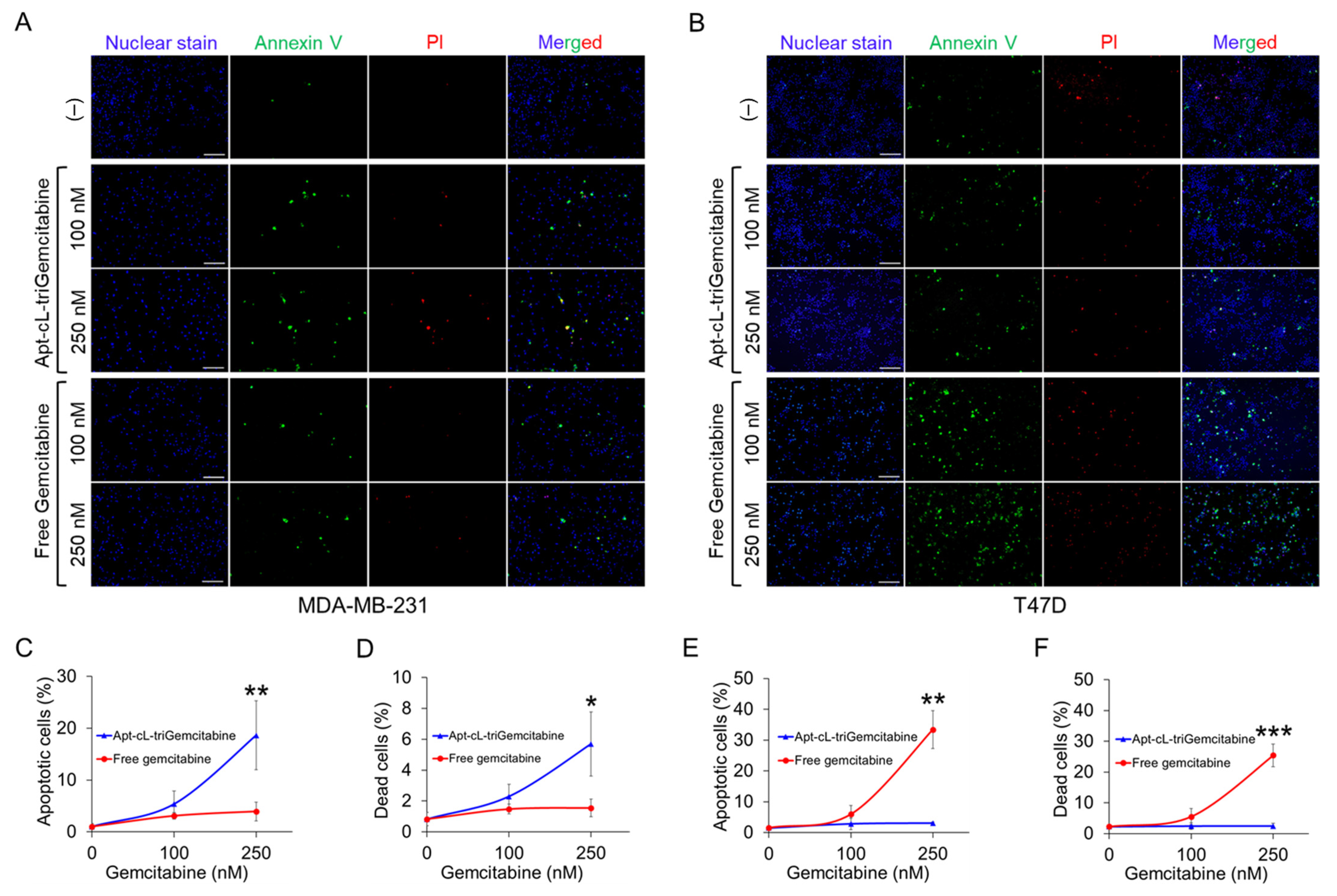 Pharmaceuticals 15 00558 g006 550
