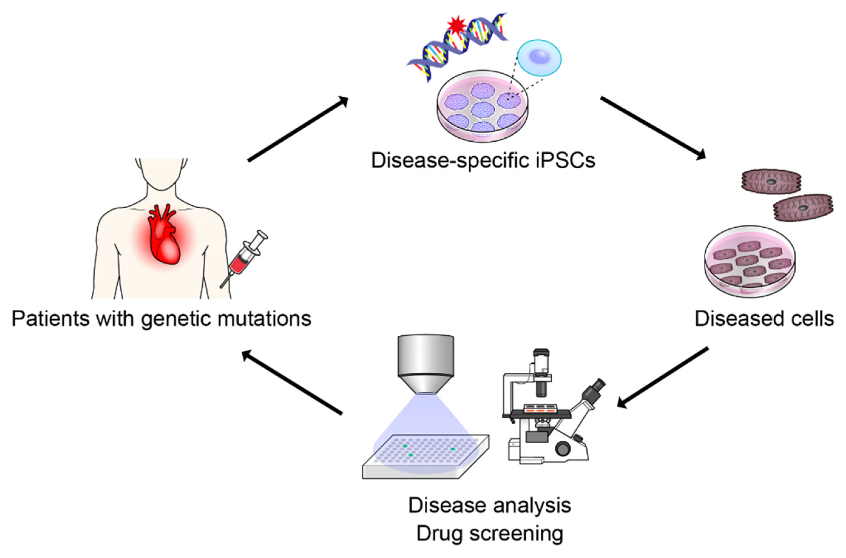 Pharmaceuticals 15 00562 g001