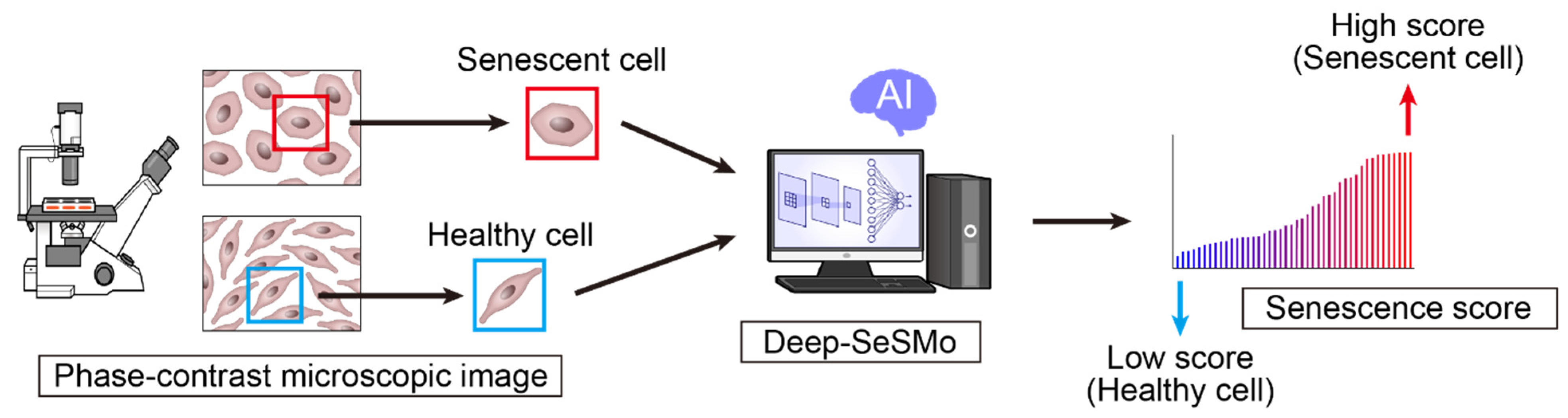 Pharmaceuticals 15 00562 g005