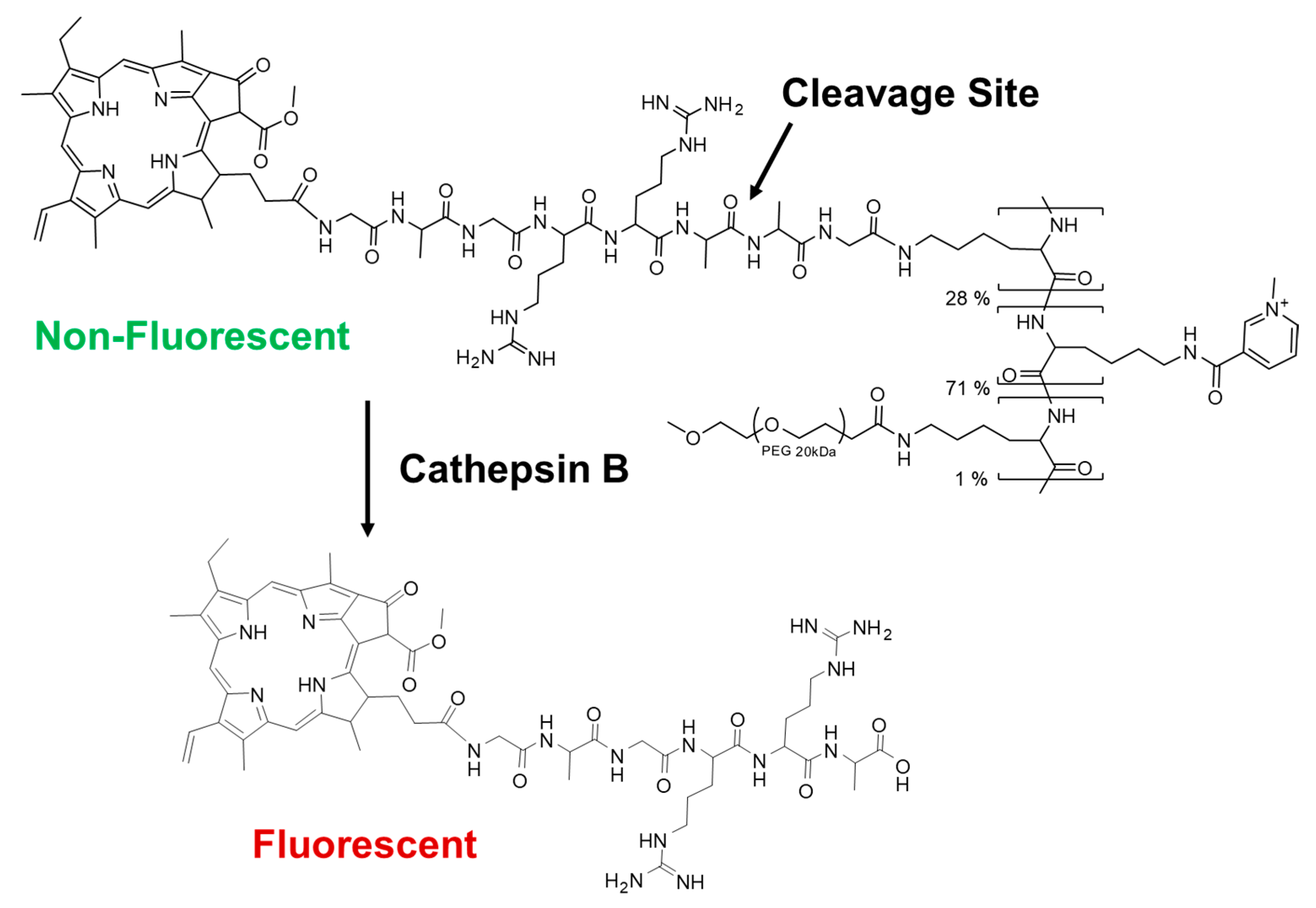 Pharmaceuticals 15 00564 g001